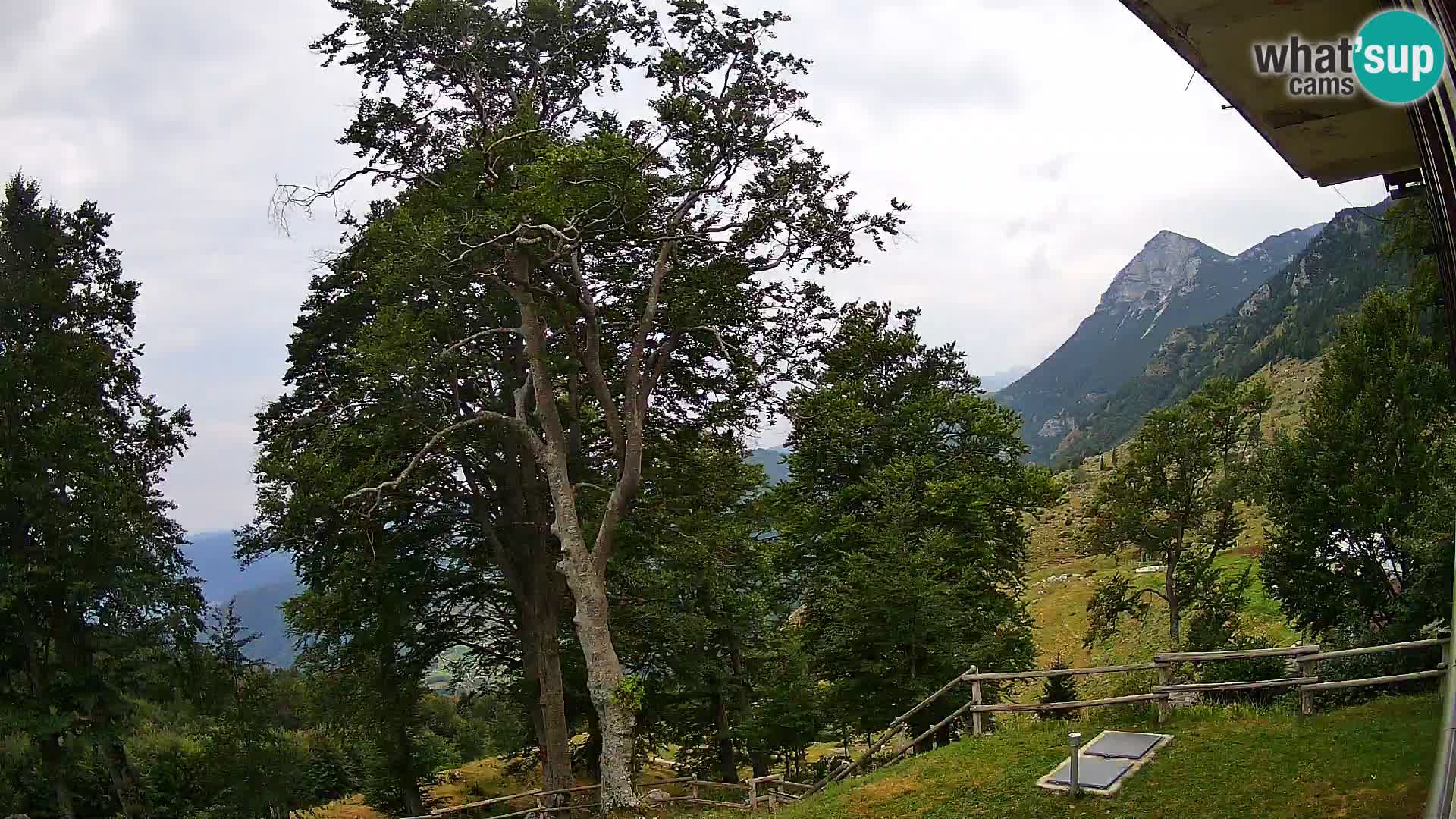 Planina Razor Bergütte Webcam (1315) | Blick auf Tolminski Migovec