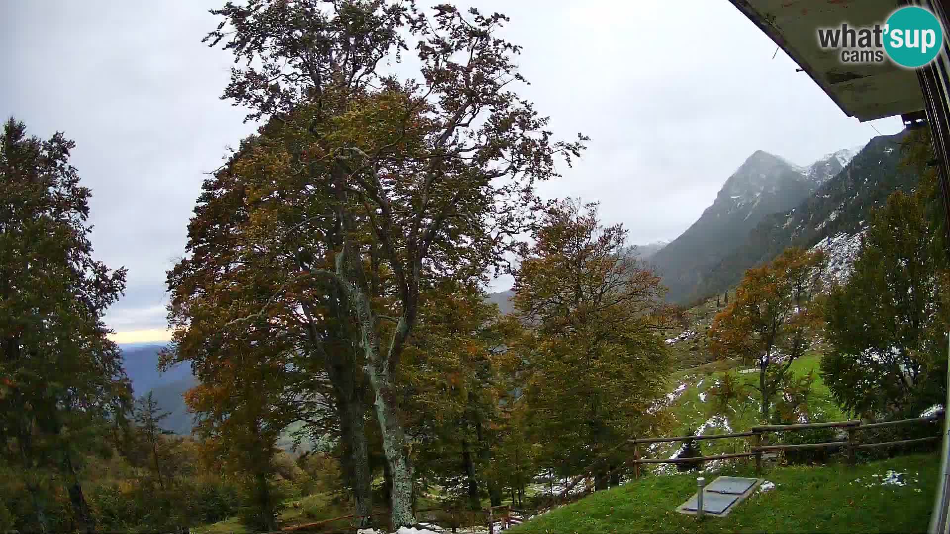 Cámara en vivo de la cabaña de montaña Planina Razor (1315) | vista hacia Tolminski Migovec