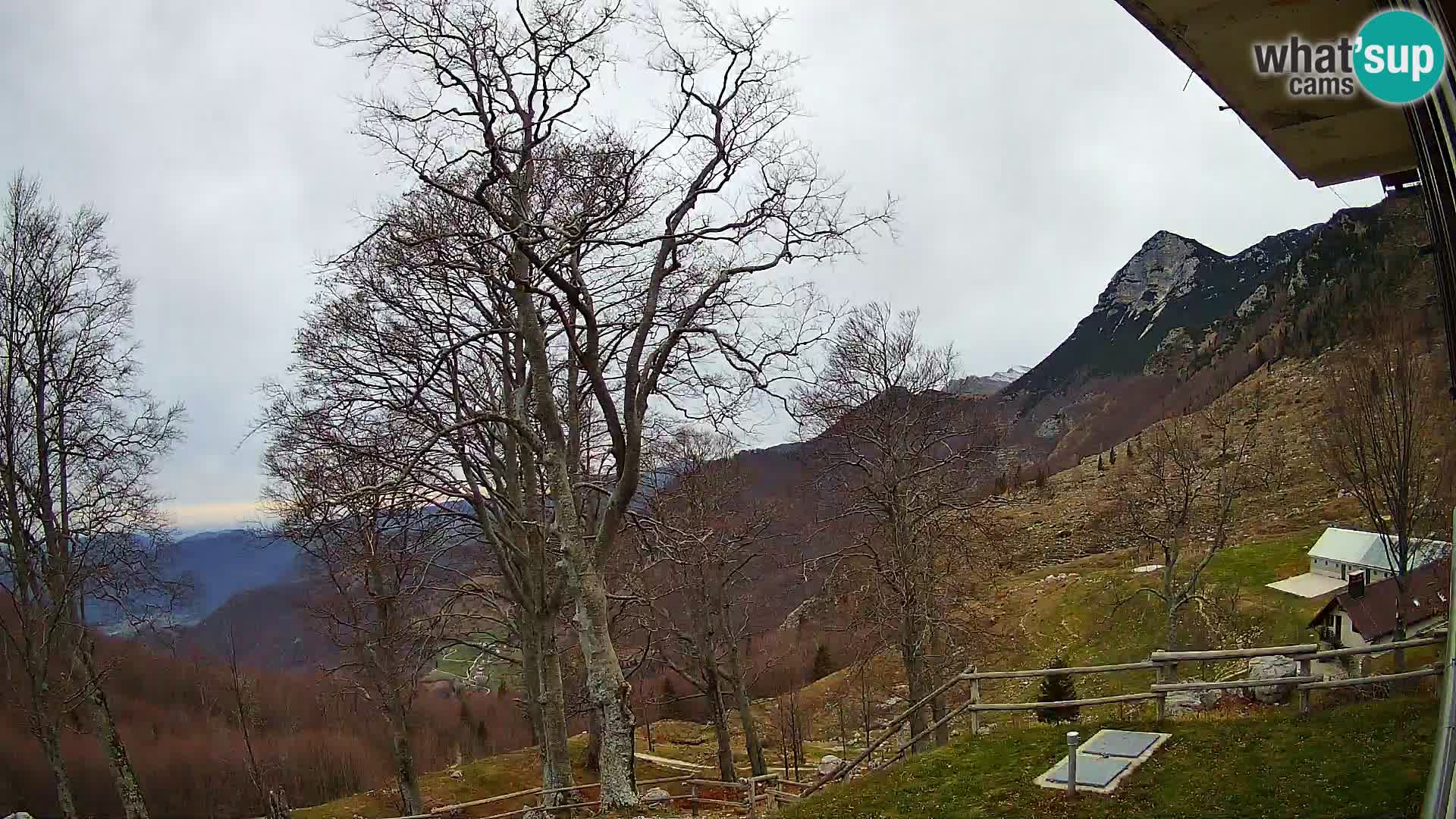 Planina Razor Bergütte Webcam (1315) | Blick auf Tolminski Migovec