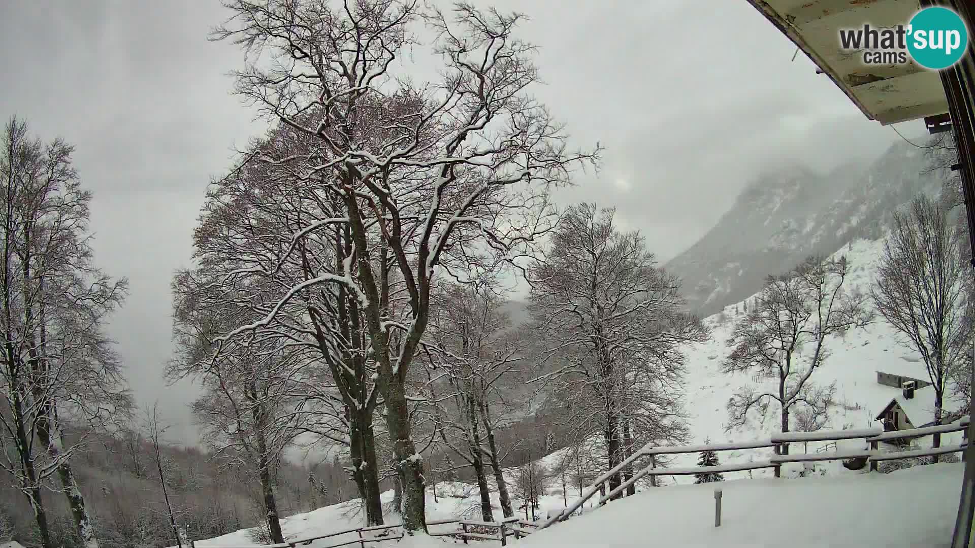 Baita di montagna Planina Razor webcam (1315) | vista su Tolminski Migovec