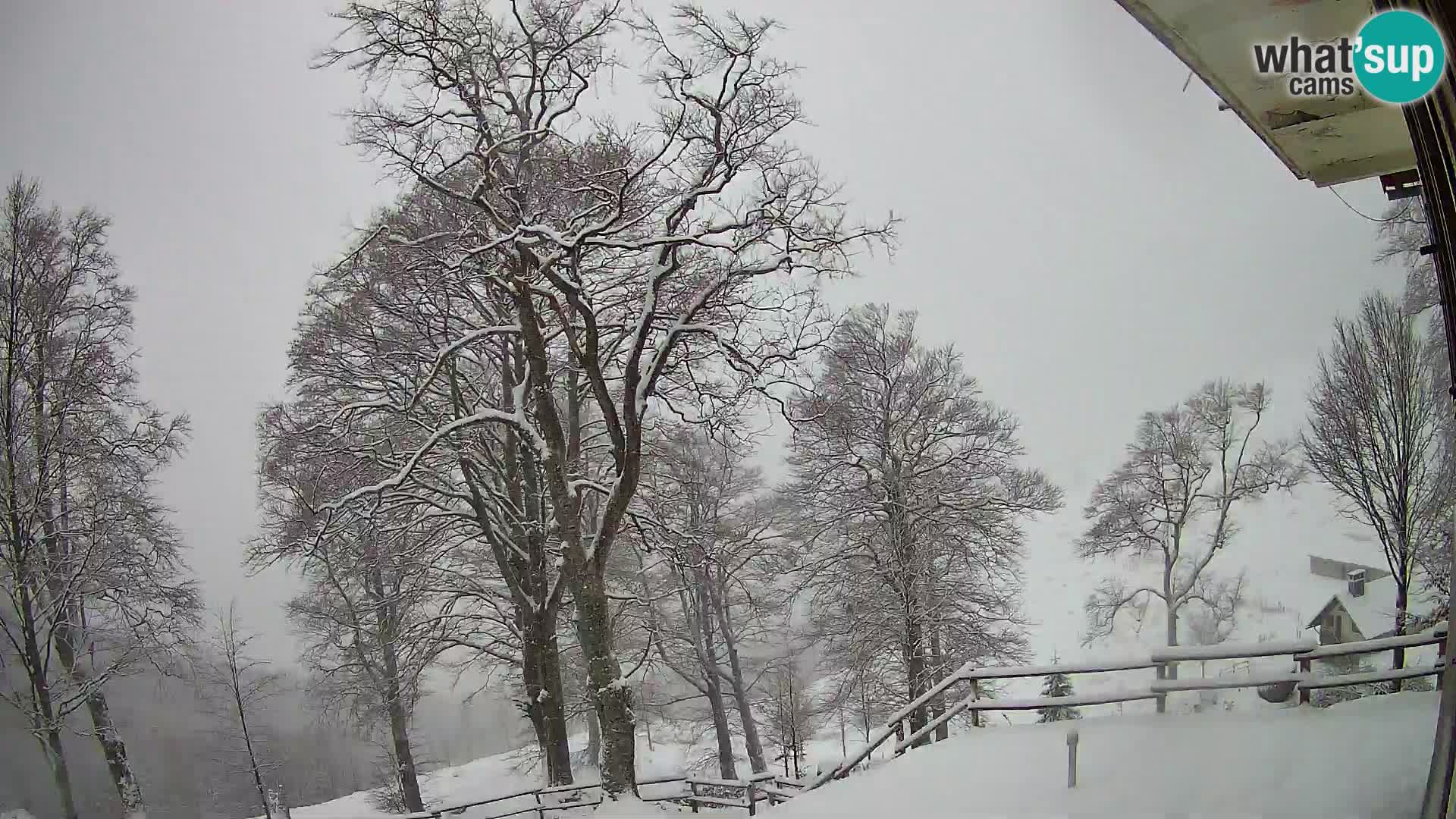 Baita di montagna Planina Razor webcam (1315) | vista su Tolminski Migovec