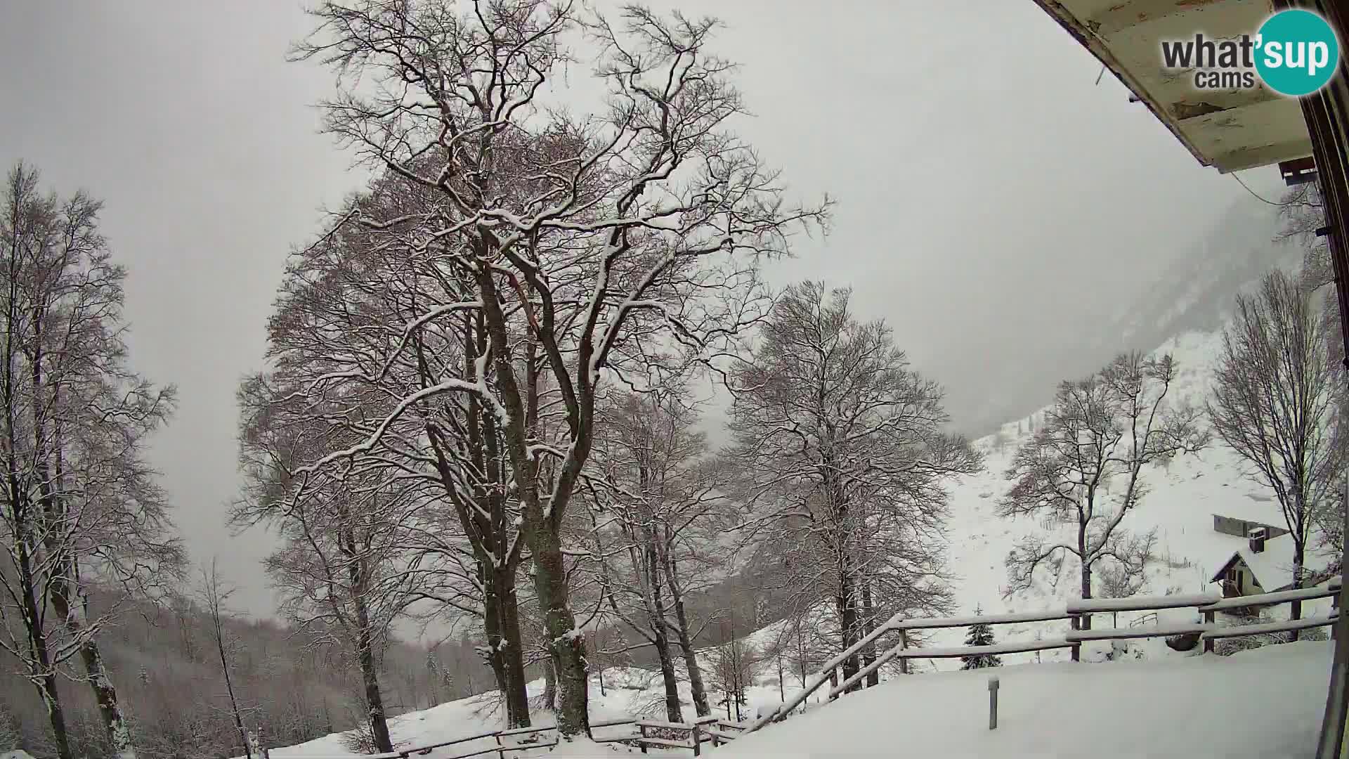 Planina Razor Bergütte Webcam (1315) | Blick auf Tolminski Migovec