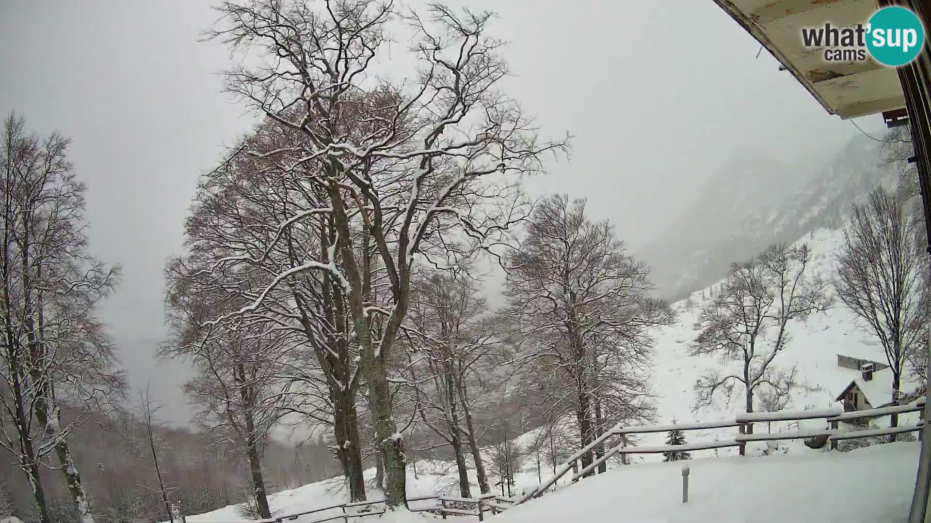 Planina Razor Bergütte Webcam (1315) | Blick auf Tolminski Migovec