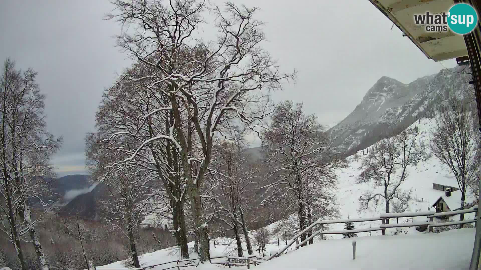 Baita di montagna Planina Razor webcam (1315) | vista su Tolminski Migovec