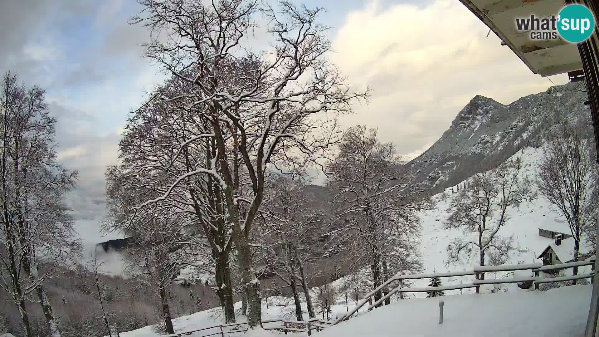 Cámara en vivo de la cabaña de montaña Planina Razor (1315) | vista hacia Tolminski Migovec