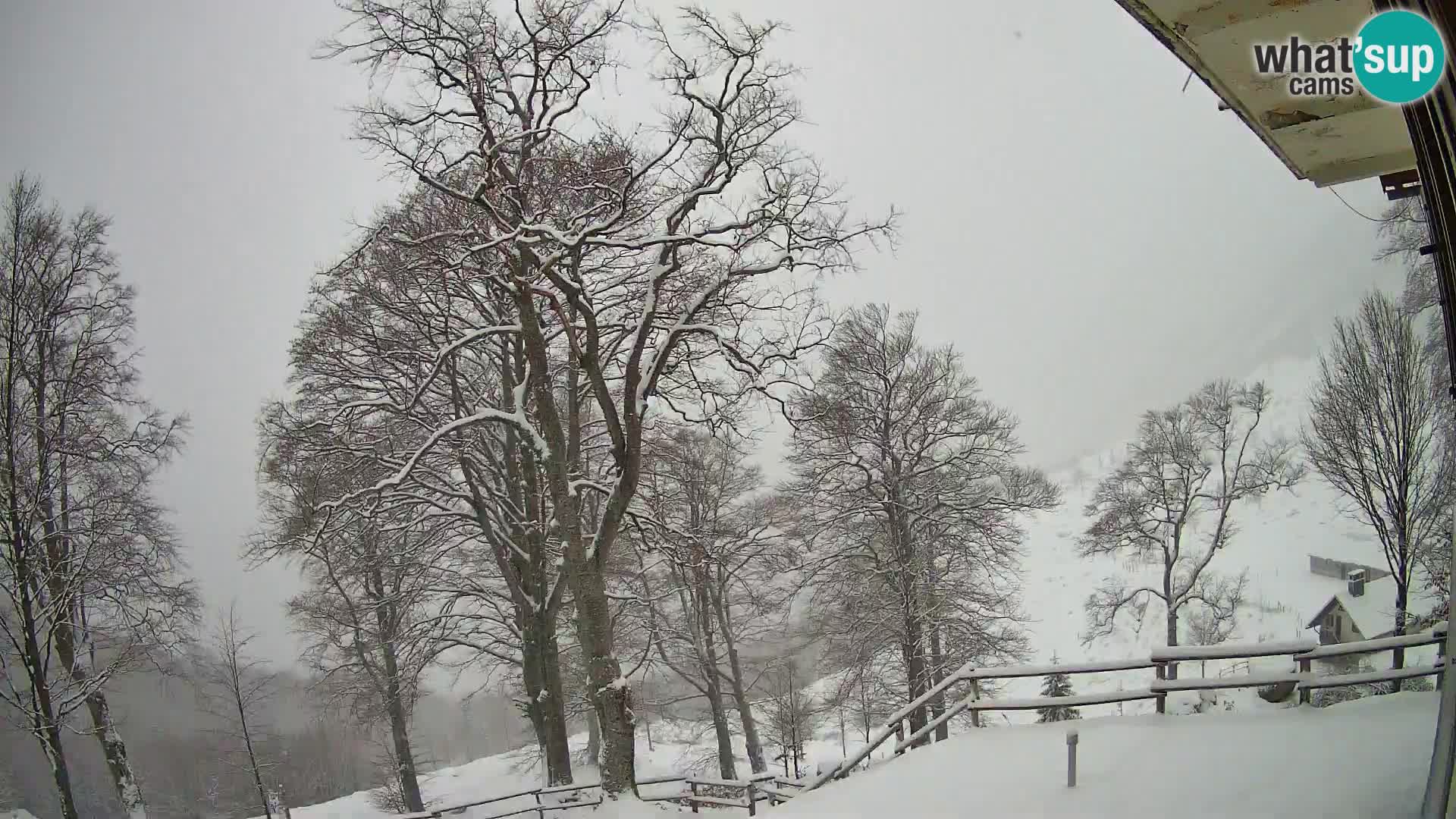 Planina Razor Bergütte Webcam (1315) | Blick auf Tolminski Migovec