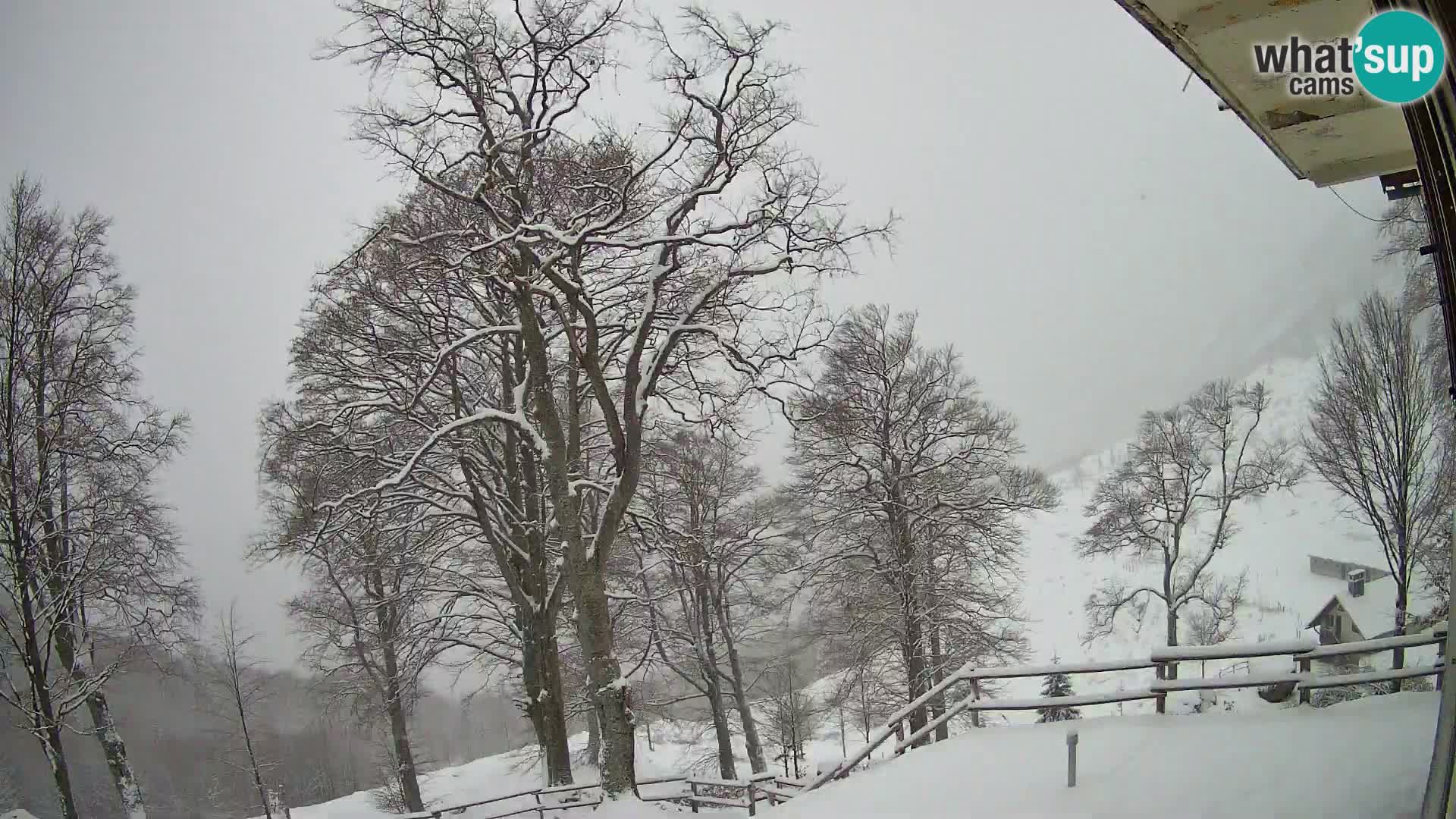 Planina Razor Bergütte Webcam (1315) | Blick auf Tolminski Migovec