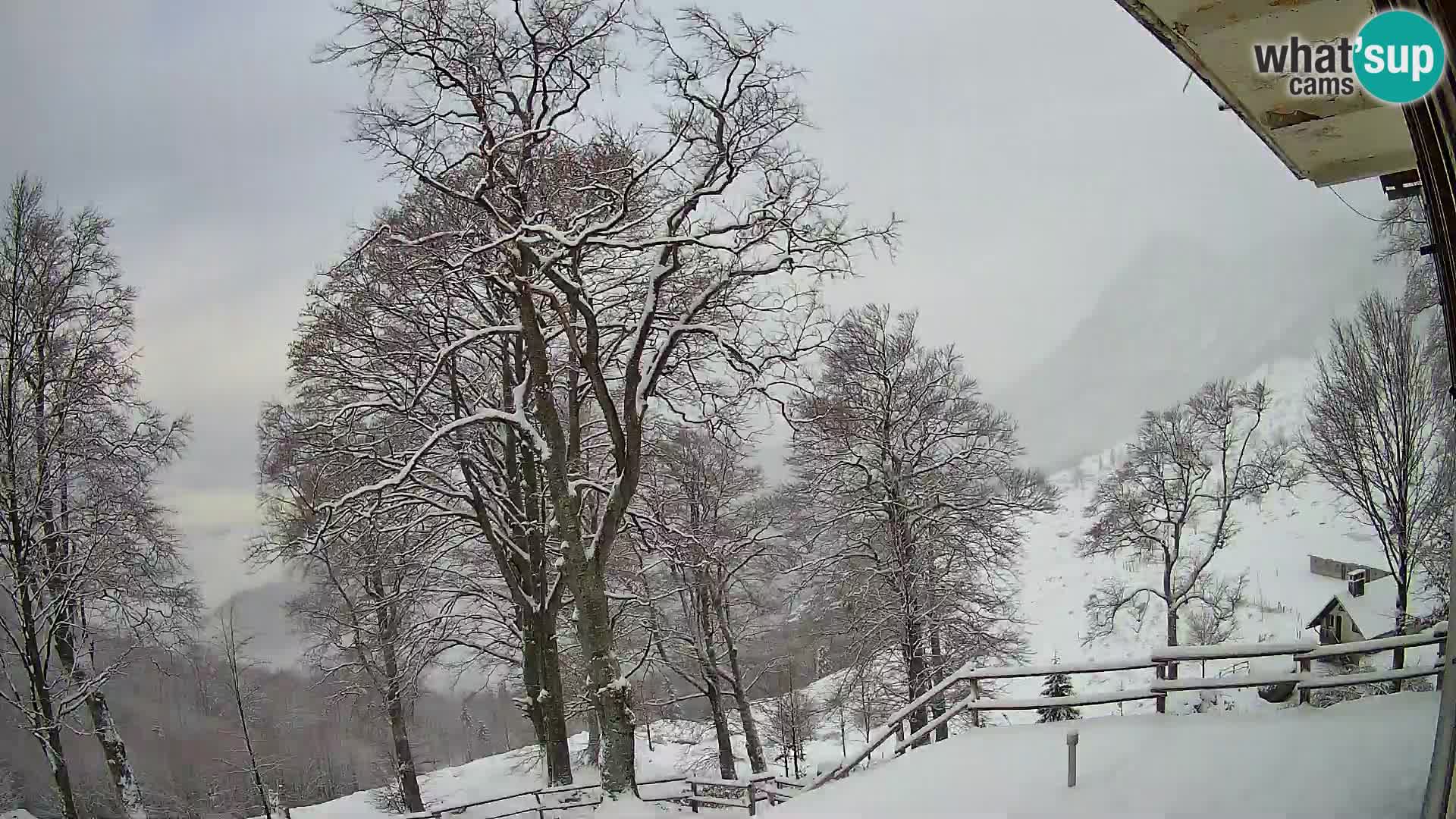 Baita di montagna Planina Razor webcam (1315) | vista su Tolminski Migovec