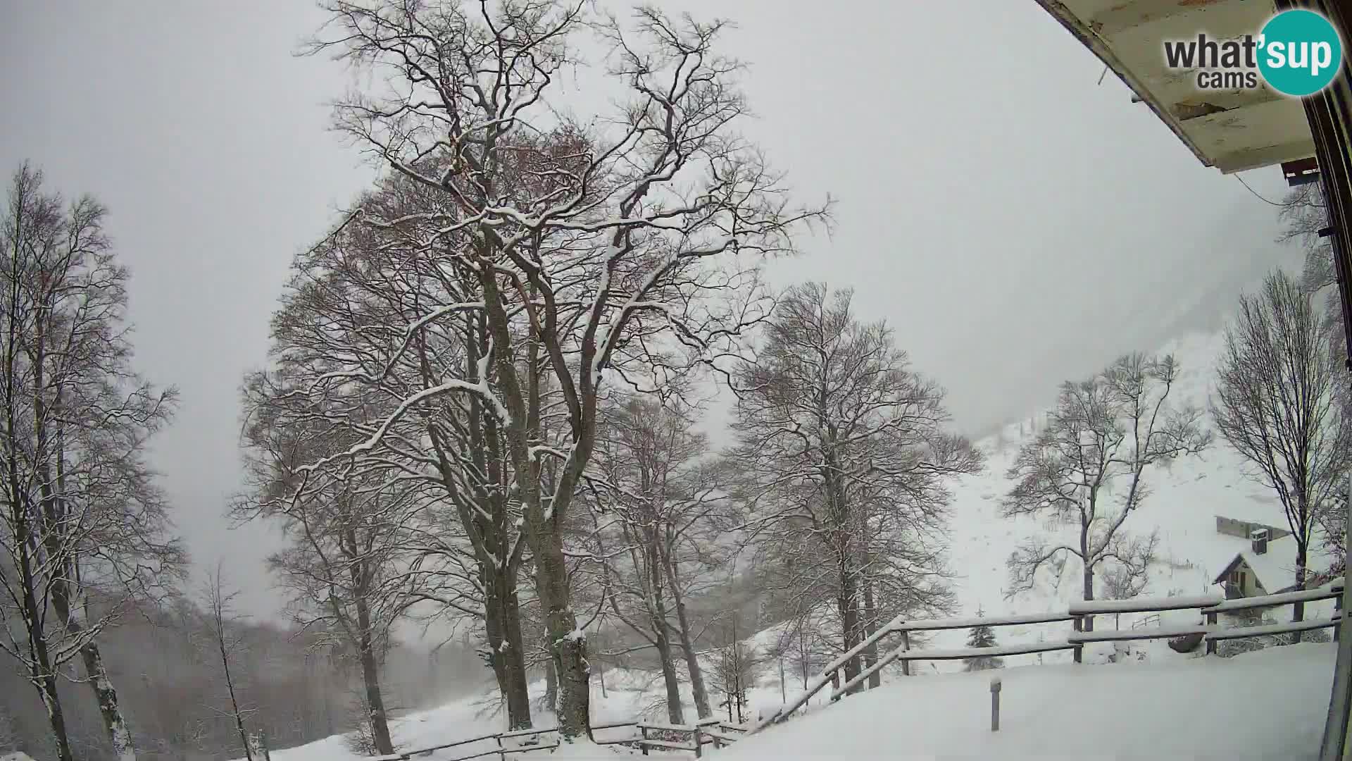 Baita di montagna Planina Razor webcam (1315) | vista su Tolminski Migovec