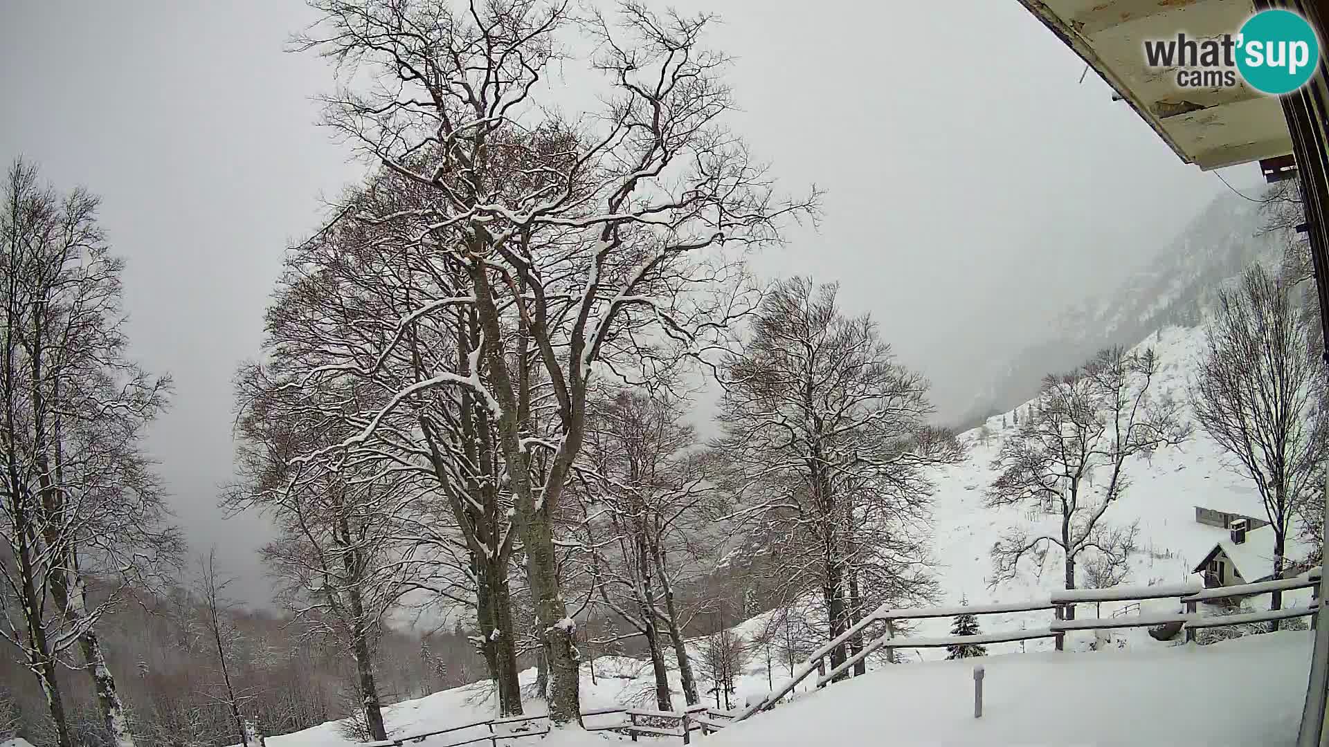 Cámara en vivo de la cabaña de montaña Planina Razor (1315) | vista hacia Tolminski Migovec