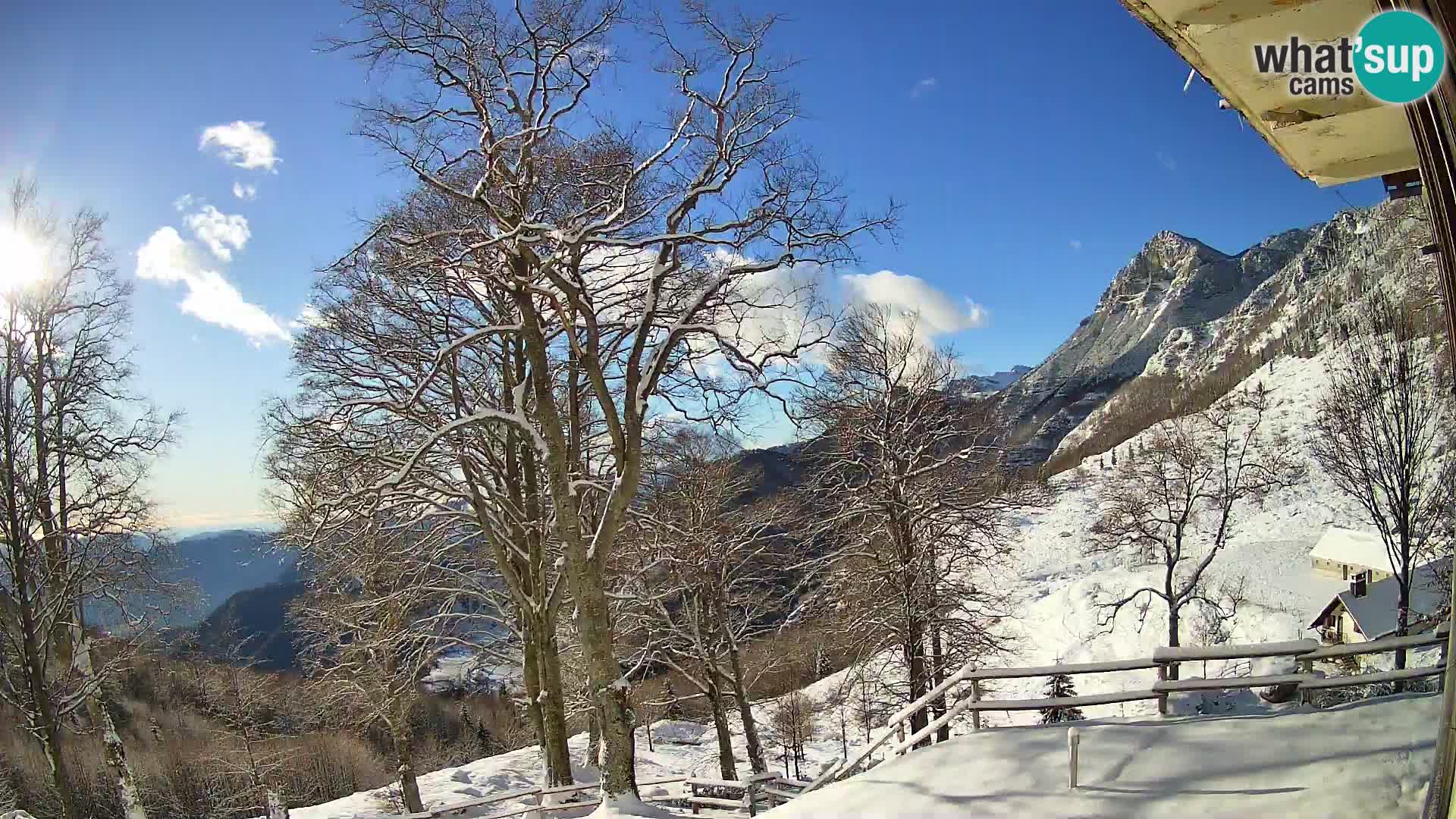 Baita di montagna Planina Razor webcam (1315) | vista su Tolminski Migovec