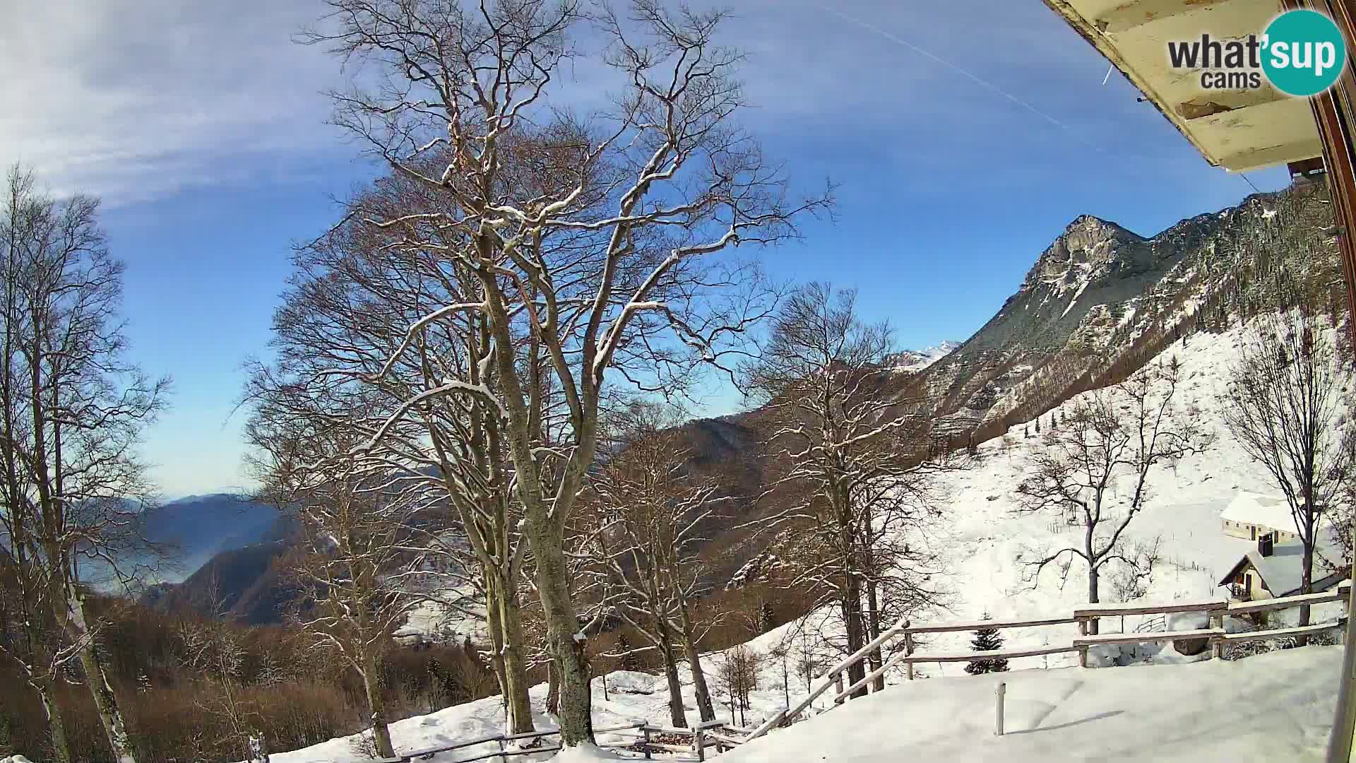 Planina Razor Bergütte Webcam (1315) | Blick auf Tolminski Migovec