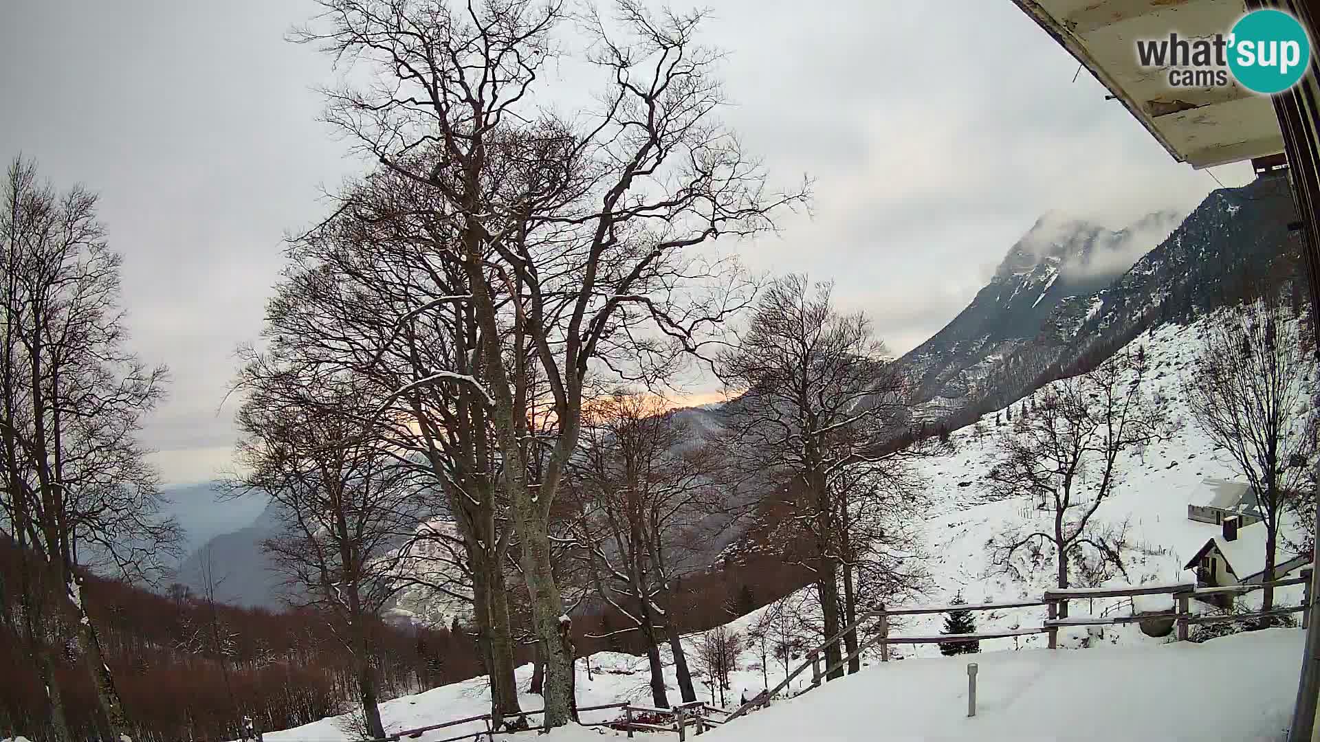 Baita di montagna Planina Razor webcam (1315) | vista su Tolminski Migovec