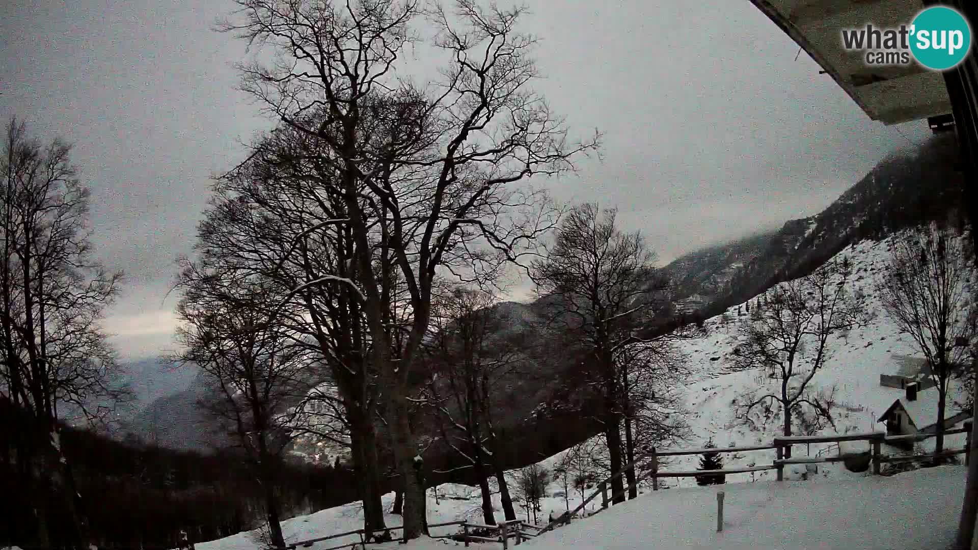 Baita di montagna Planina Razor webcam (1315) | vista su Tolminski Migovec