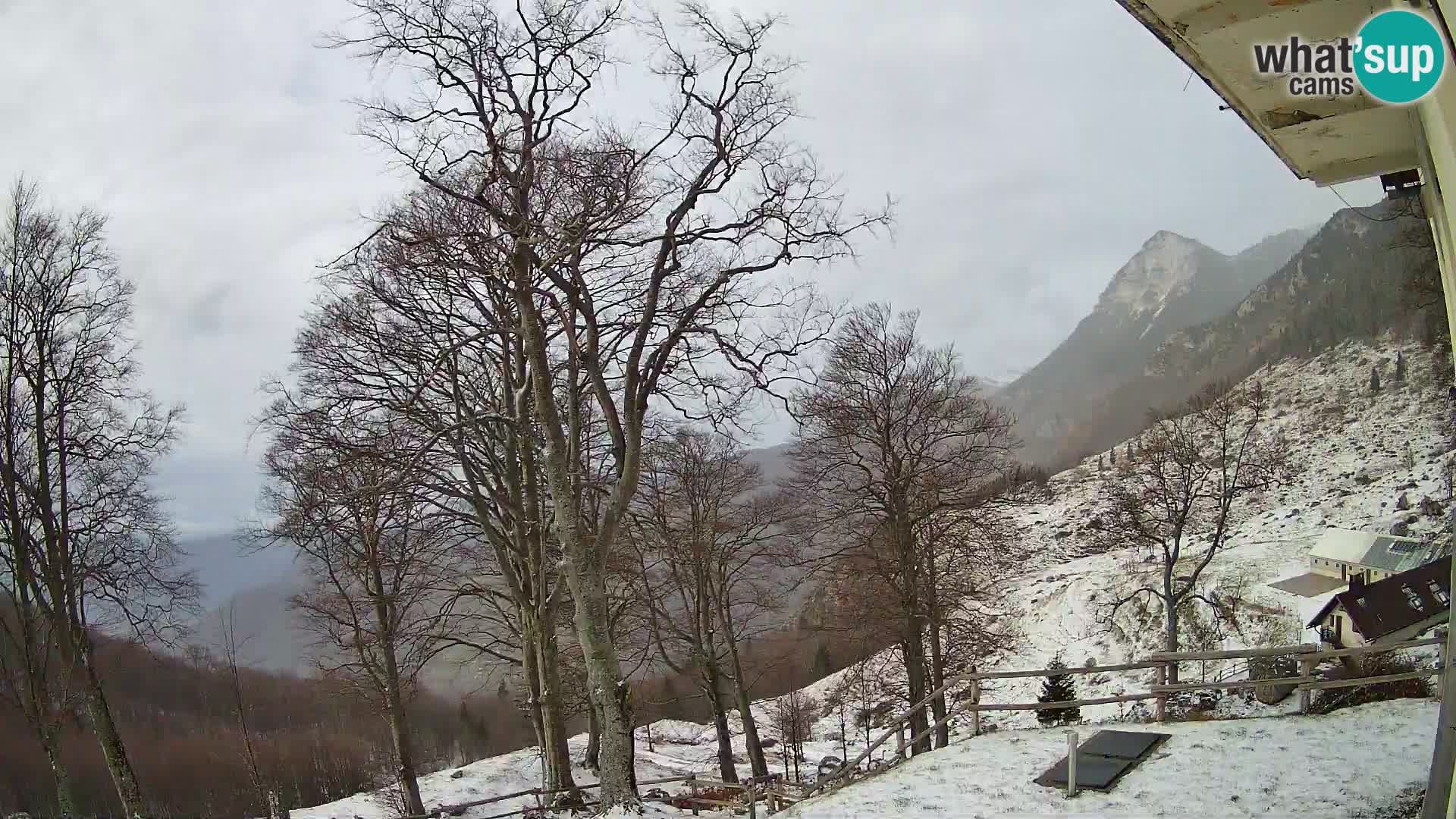 Planina Razor Bergütte Webcam (1315) | Blick auf Tolminski Migovec