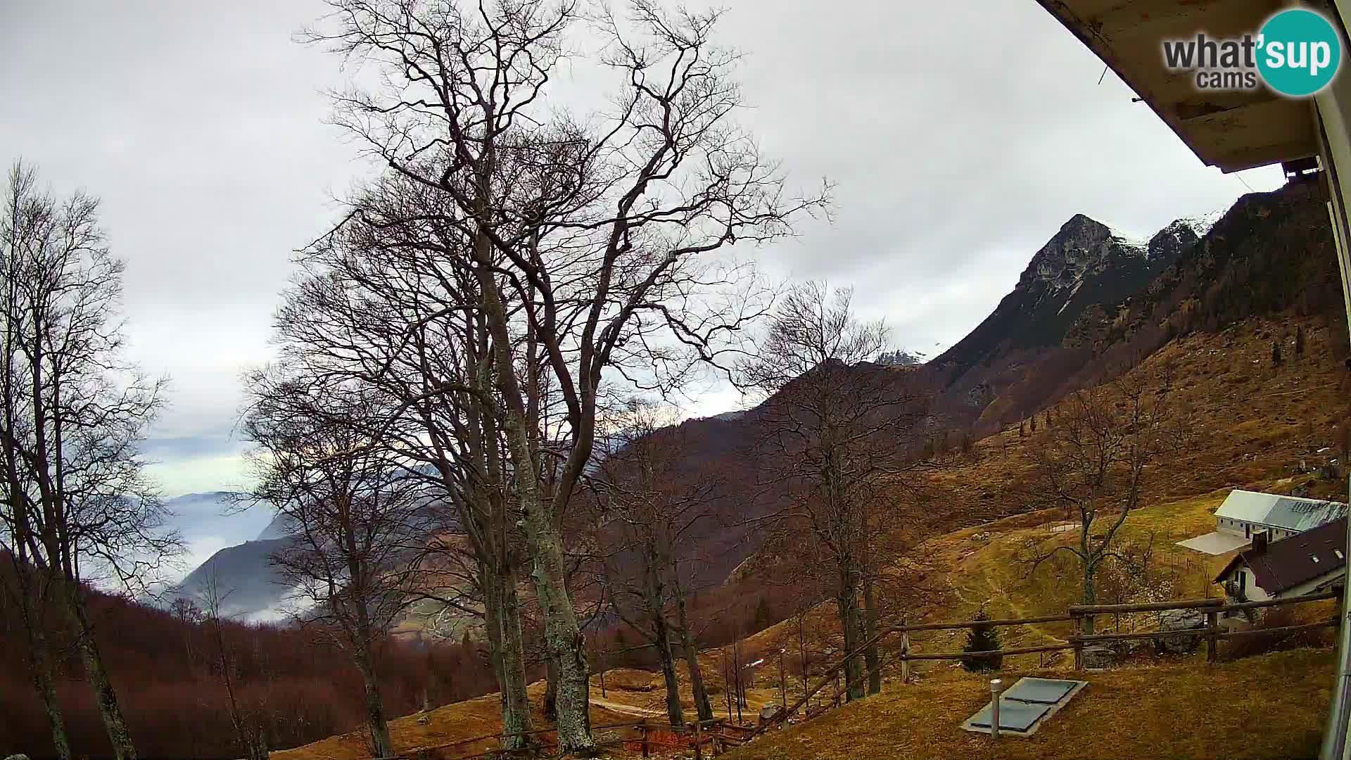 Baita di montagna Planina Razor webcam (1315) | vista su Tolminski Migovec