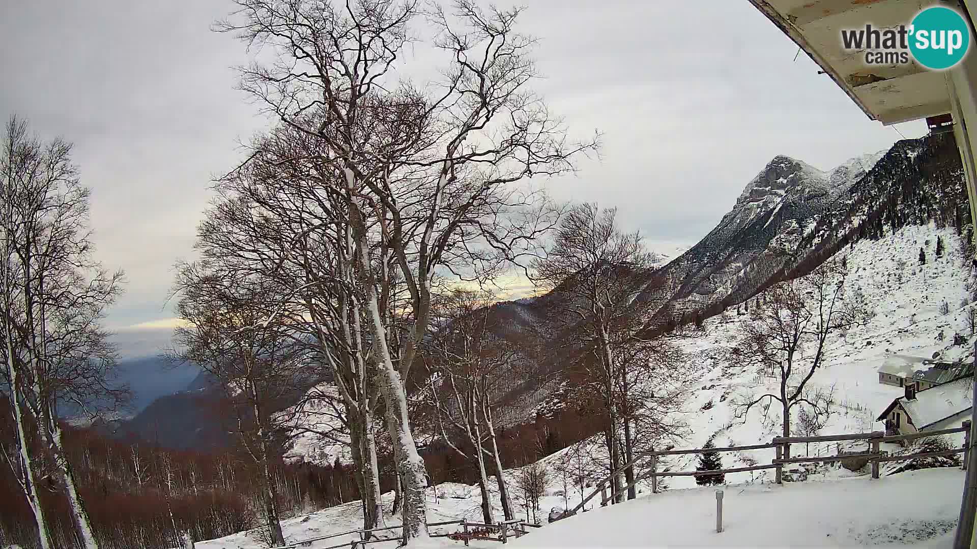 Planina Razor Bergütte Webcam (1315) | Blick auf Tolminski Migovec