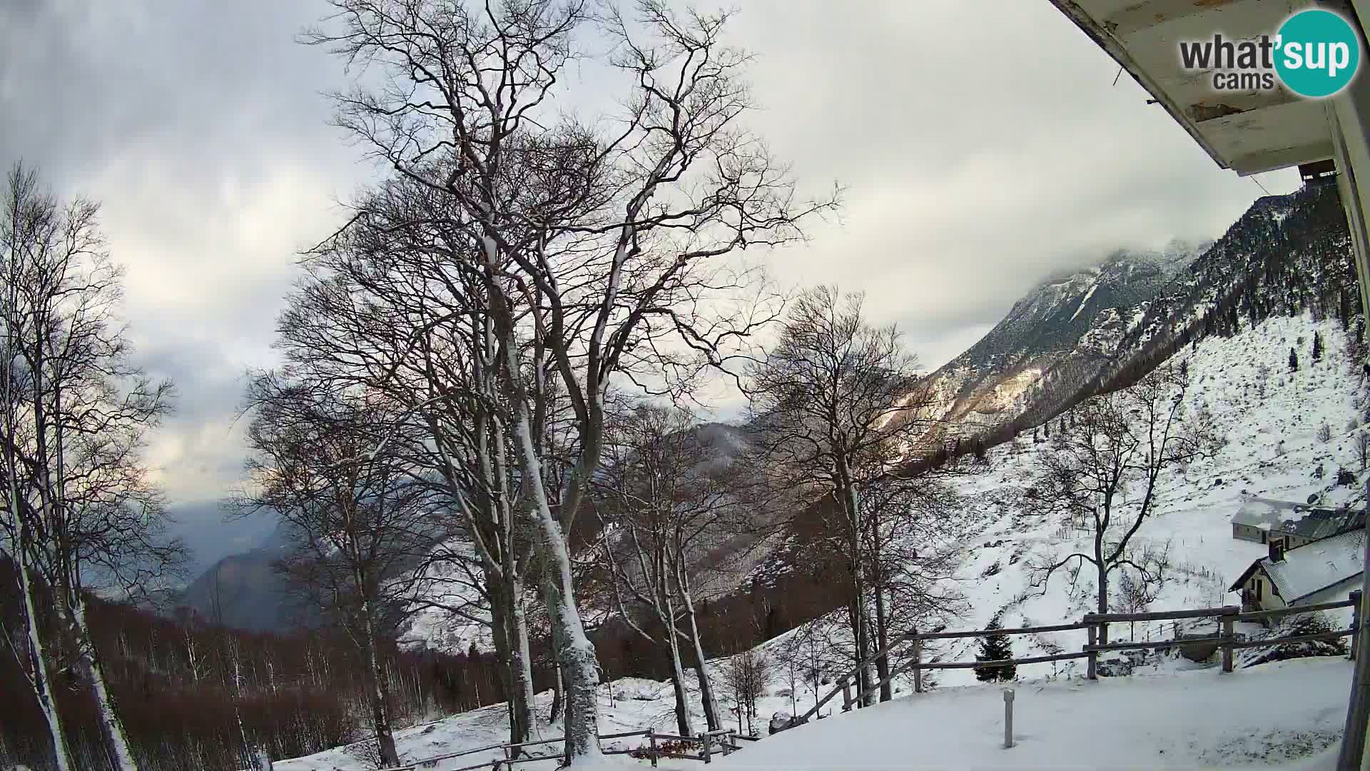 Planina Razor Bergütte Webcam (1315) | Blick auf Tolminski Migovec