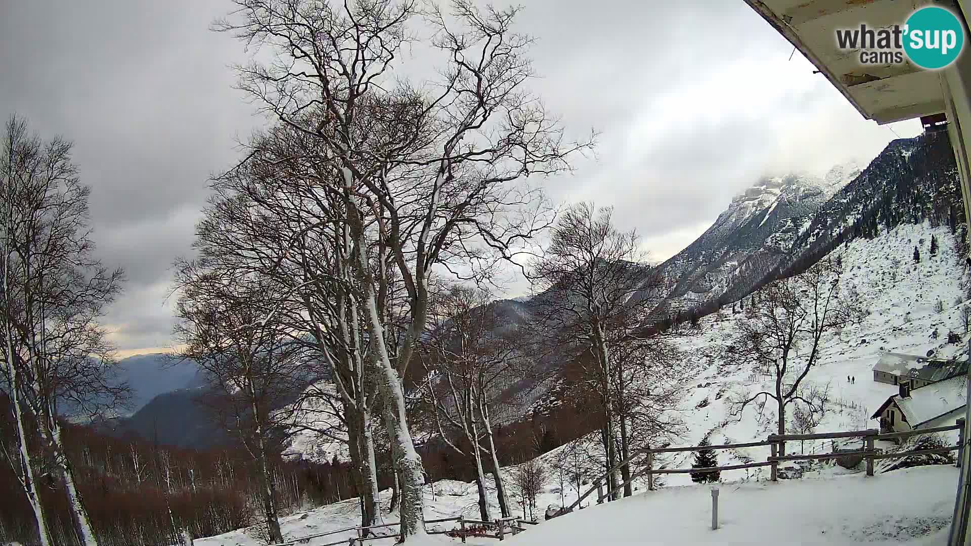 Planina Razor Bergütte Webcam (1315) | Blick auf Tolminski Migovec