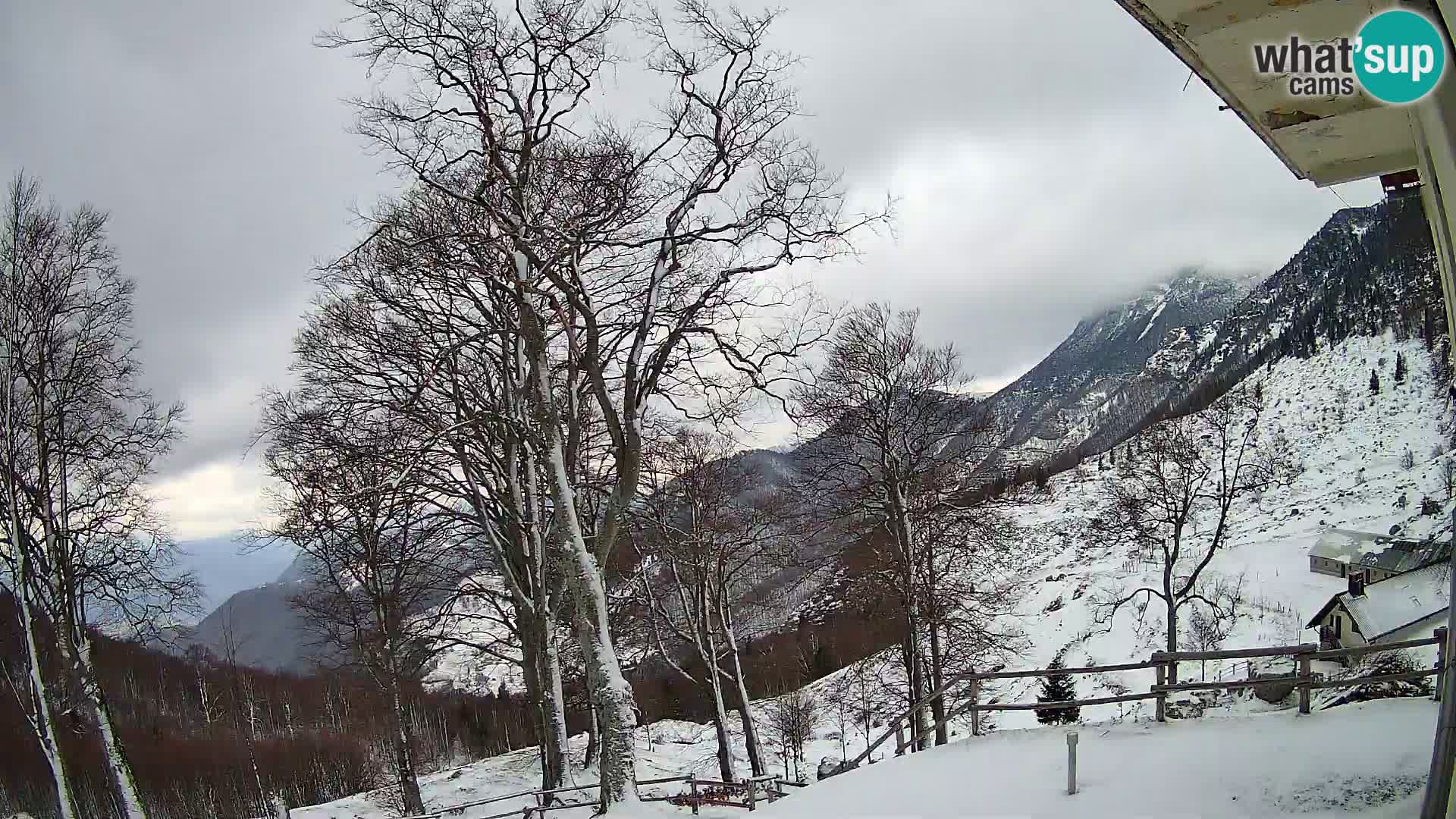 Cámara en vivo de la cabaña de montaña Planina Razor (1315) | vista hacia Tolminski Migovec