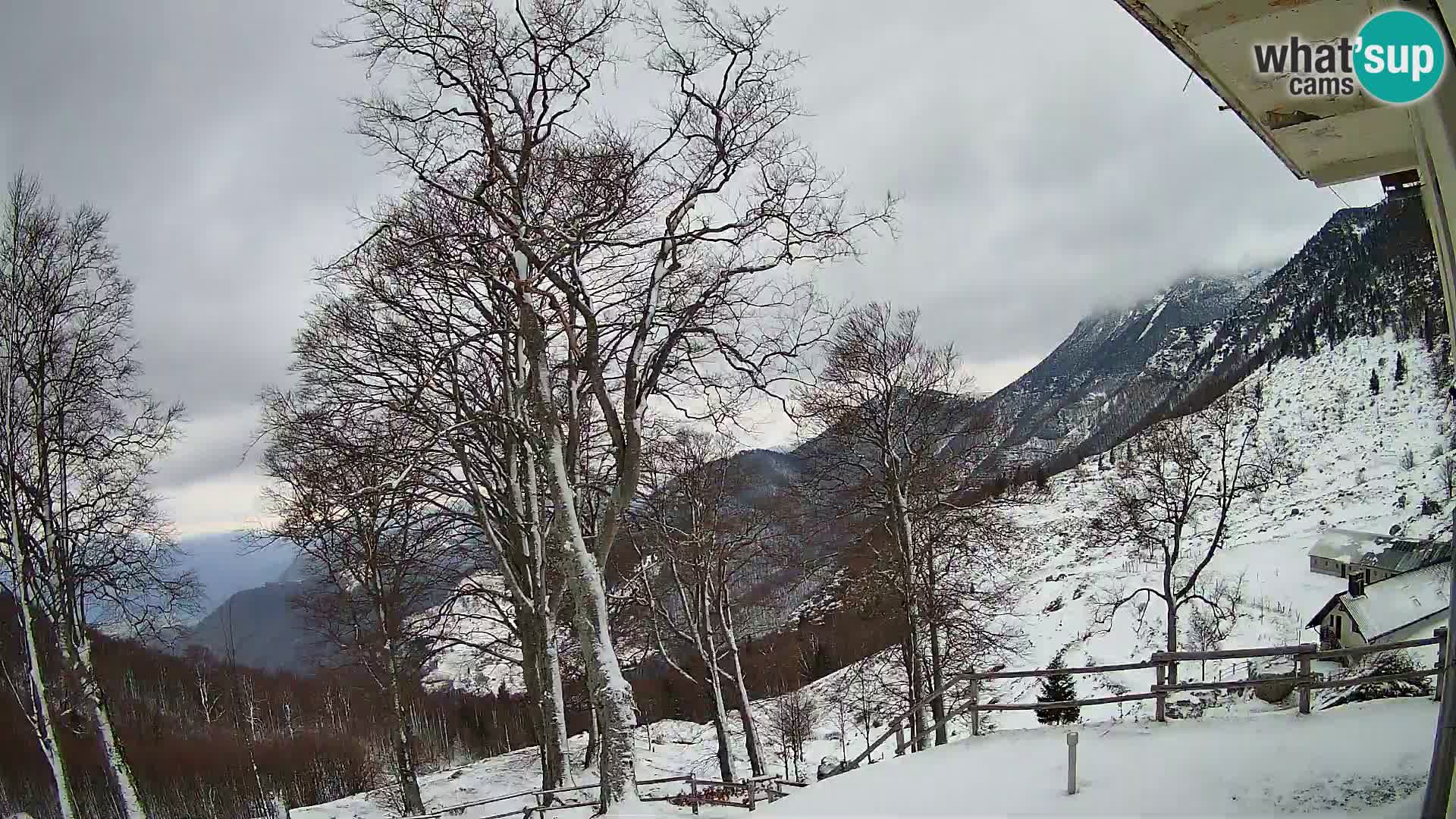 Baita di montagna Planina Razor webcam (1315) | vista su Tolminski Migovec