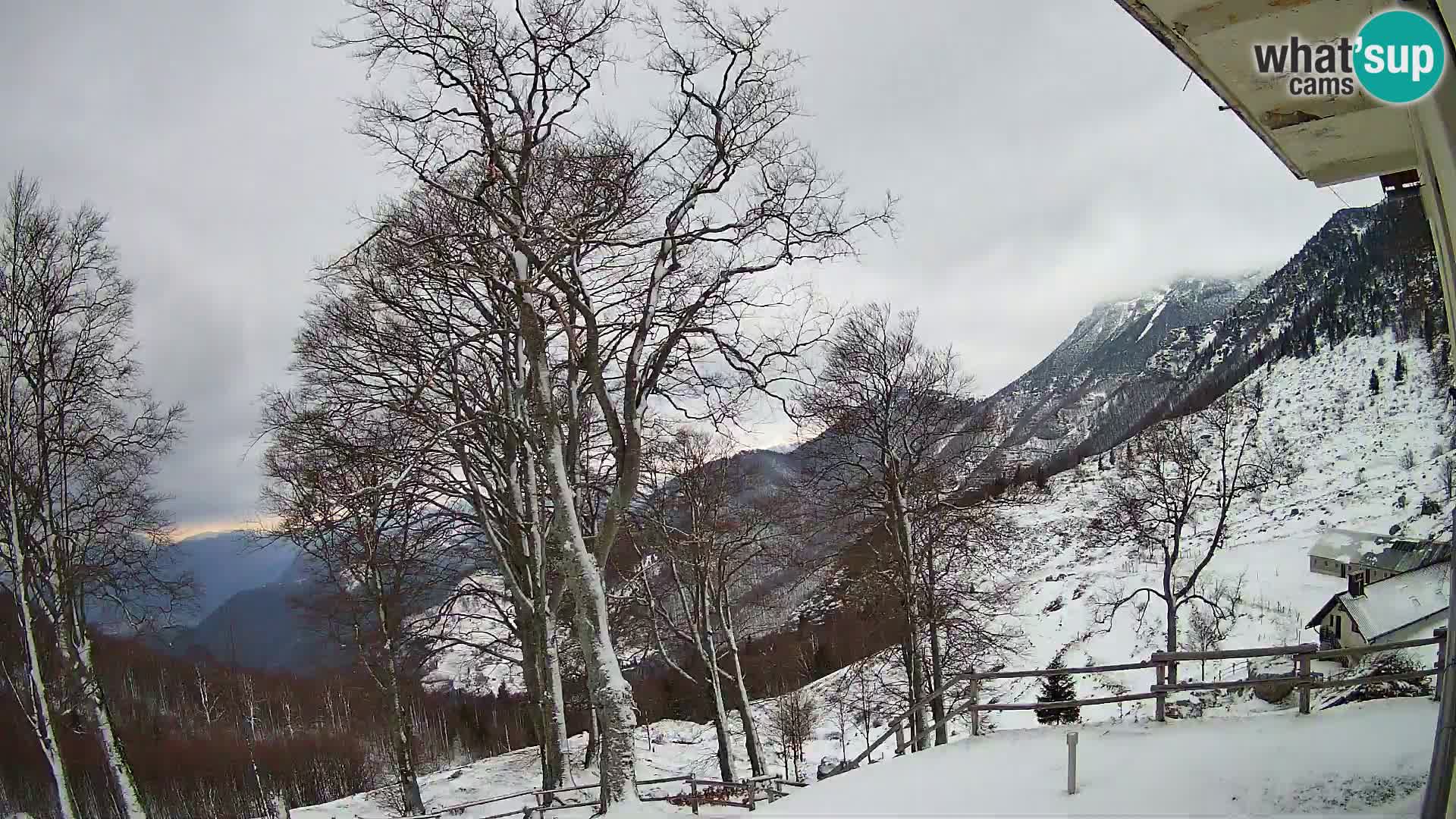 Planina Razor Mountain Hut live cam (1315) | view to Tolminski Migovec