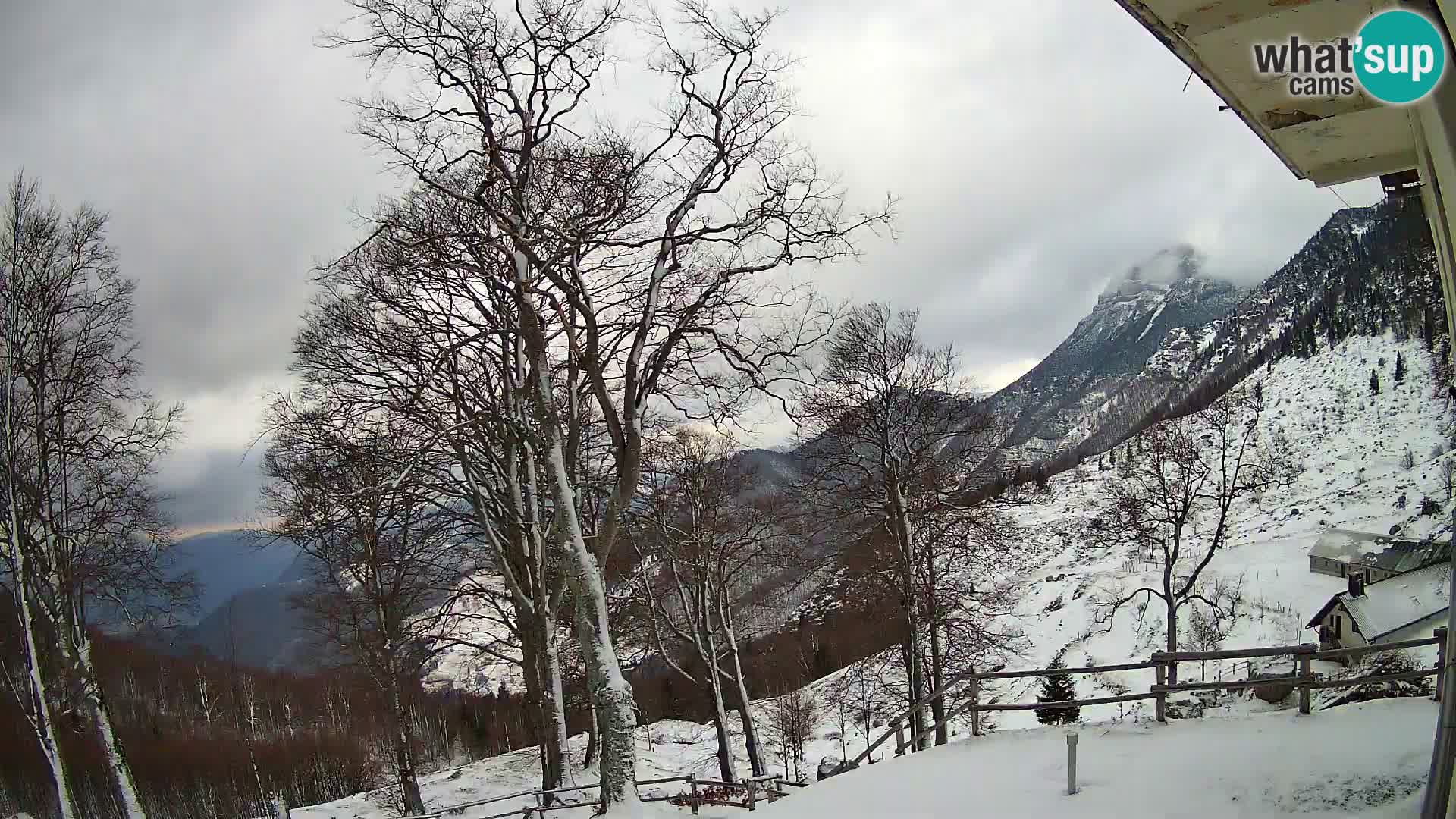 Cámara en vivo de la cabaña de montaña Planina Razor (1315) | vista hacia Tolminski Migovec