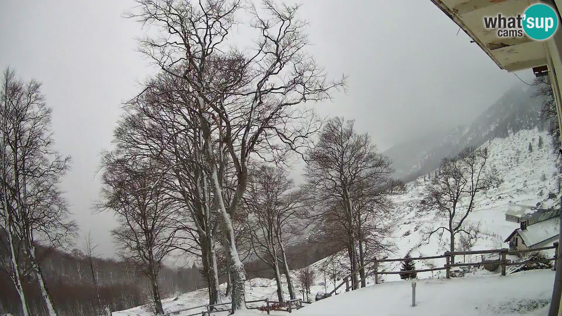 Cámara en vivo de la cabaña de montaña Planina Razor (1315) | vista hacia Tolminski Migovec