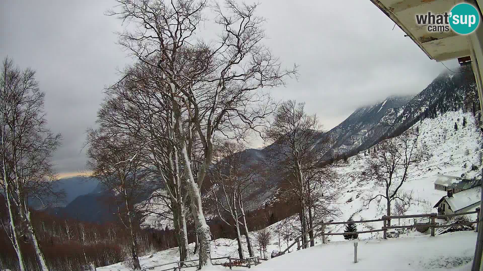 Cámara en vivo de la cabaña de montaña Planina Razor (1315) | vista hacia Tolminski Migovec