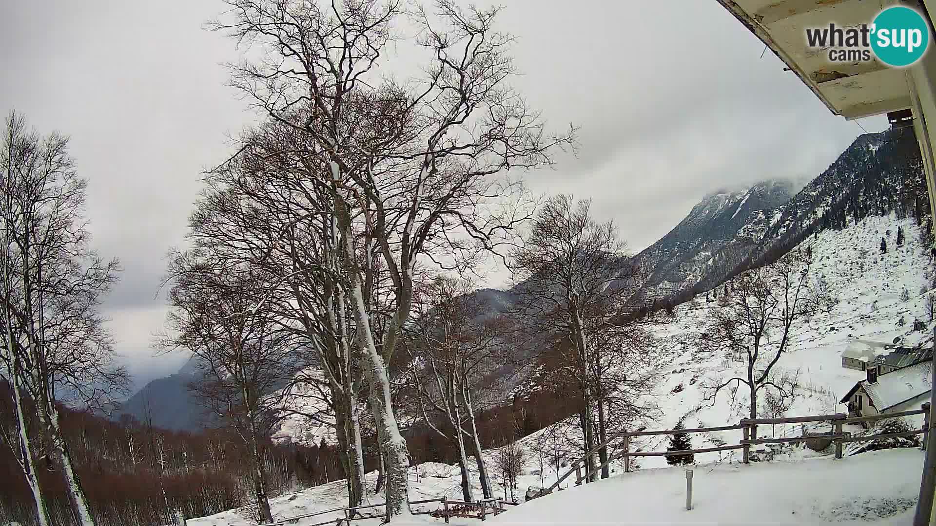 Baita di montagna Planina Razor webcam (1315) | vista su Tolminski Migovec