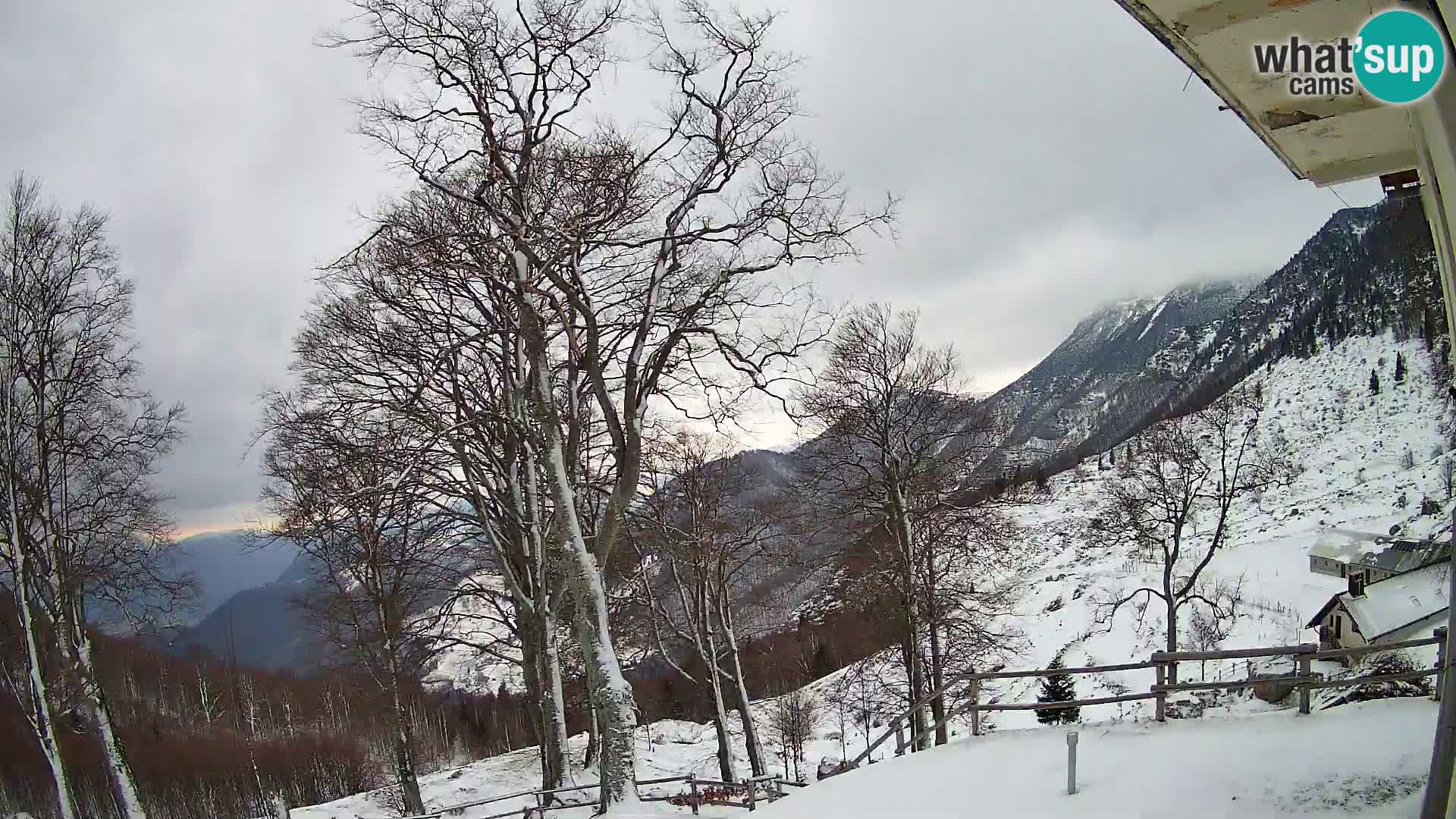 Baita di montagna Planina Razor webcam (1315) | vista su Tolminski Migovec