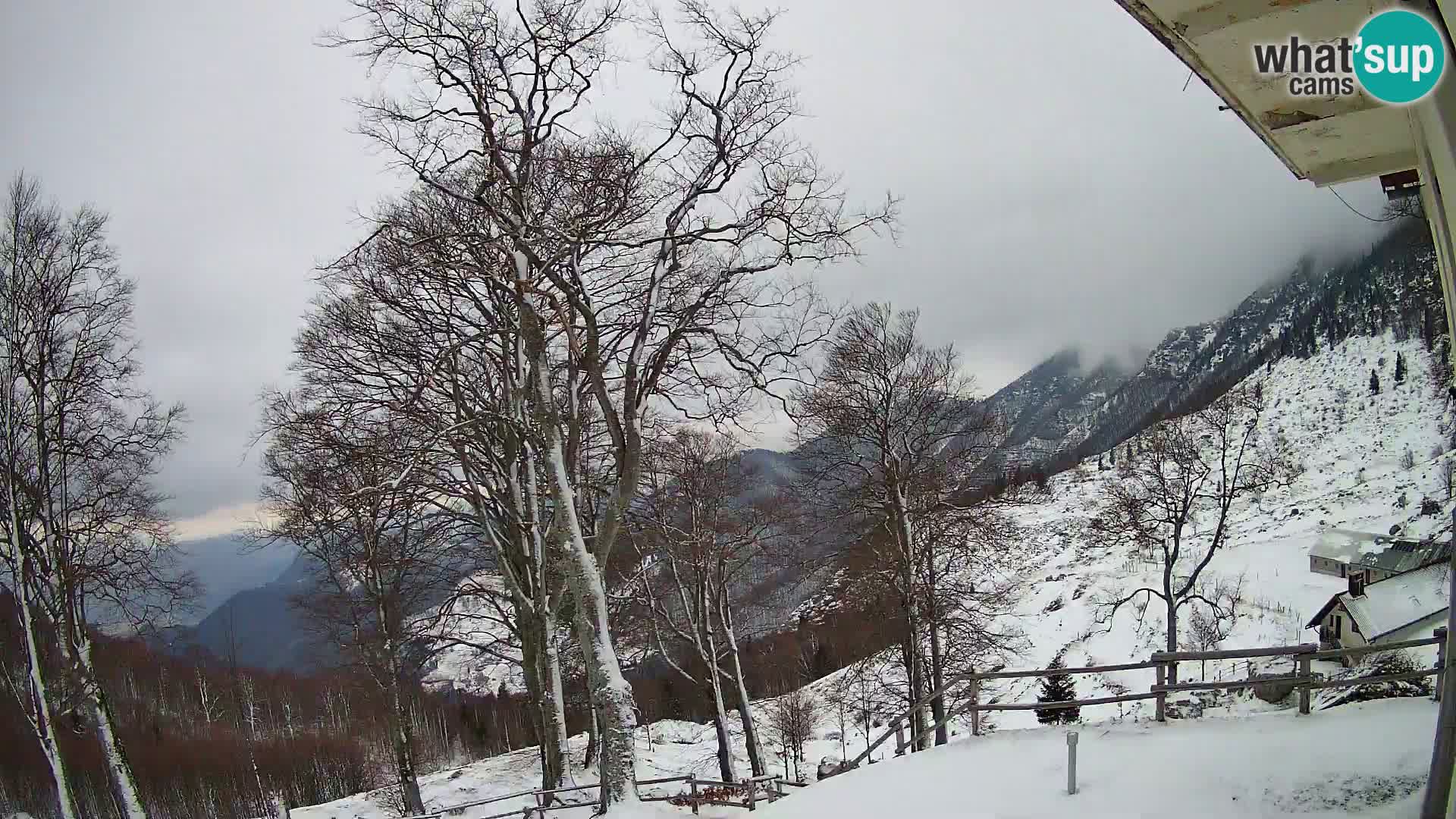 Planina Razor Mountain Hut live cam (1315) | view to Tolminski Migovec