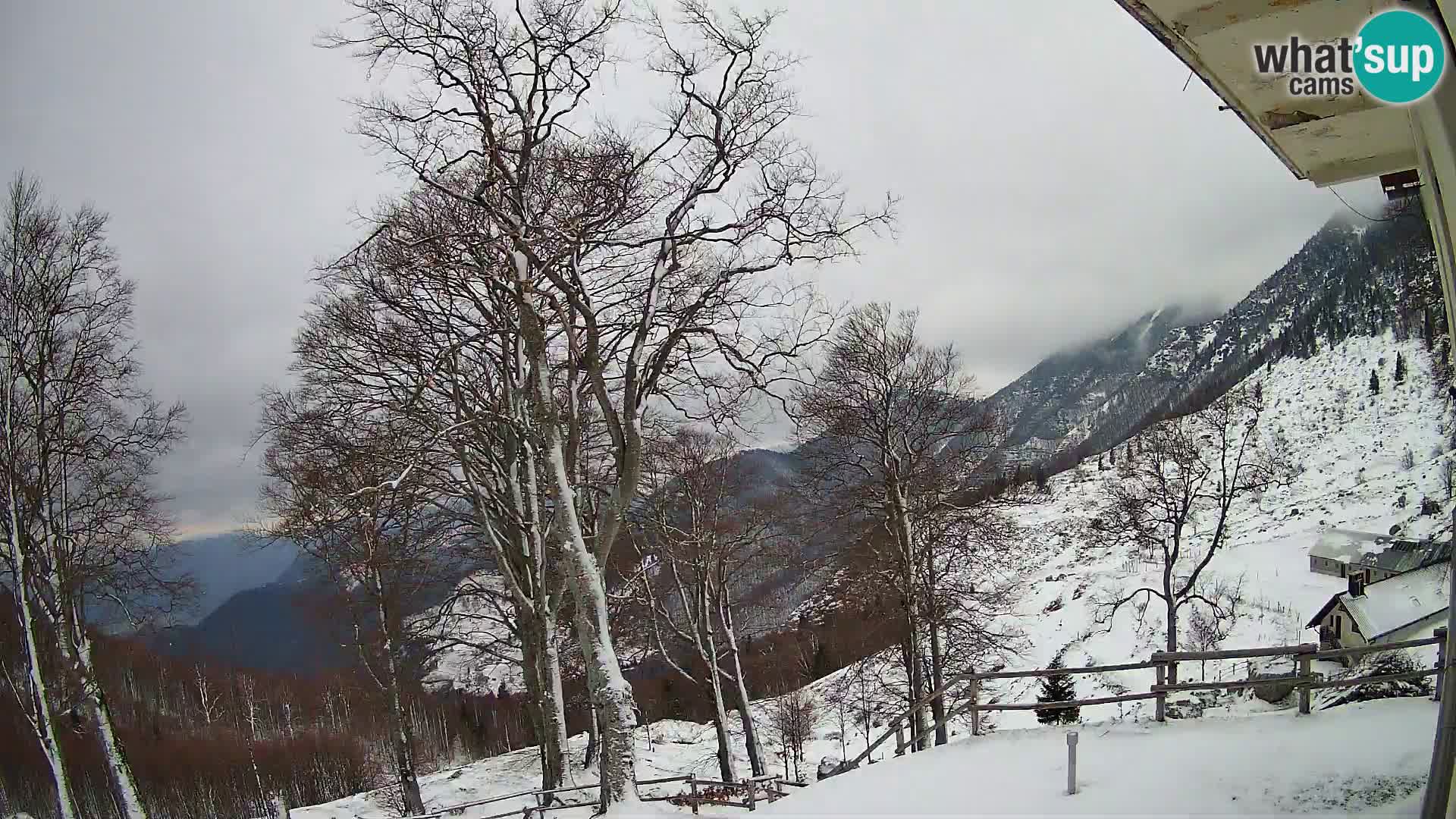 Planina Razor Bergütte Webcam (1315) | Blick auf Tolminski Migovec