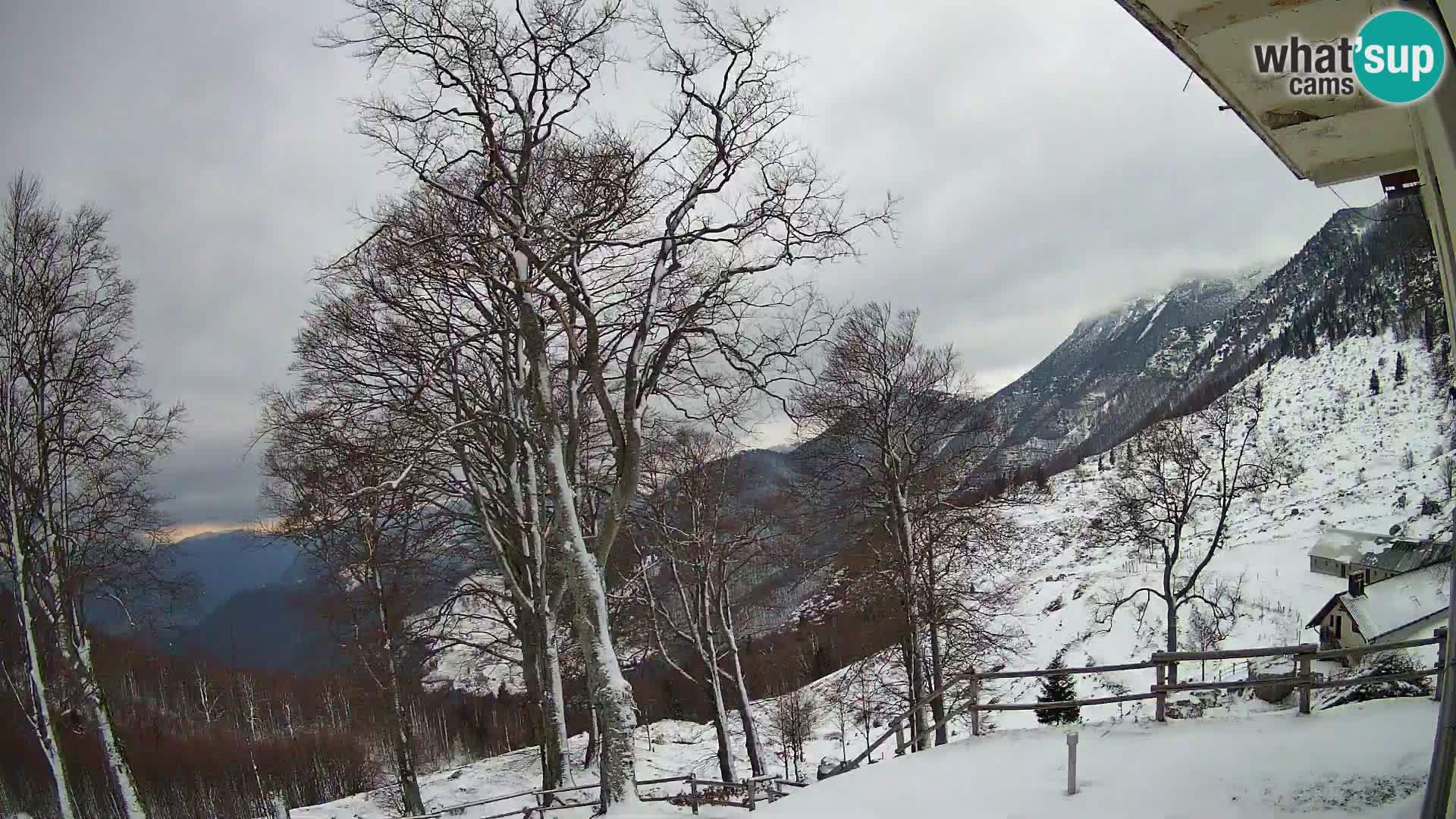 Cámara en vivo de la cabaña de montaña Planina Razor (1315) | vista hacia Tolminski Migovec