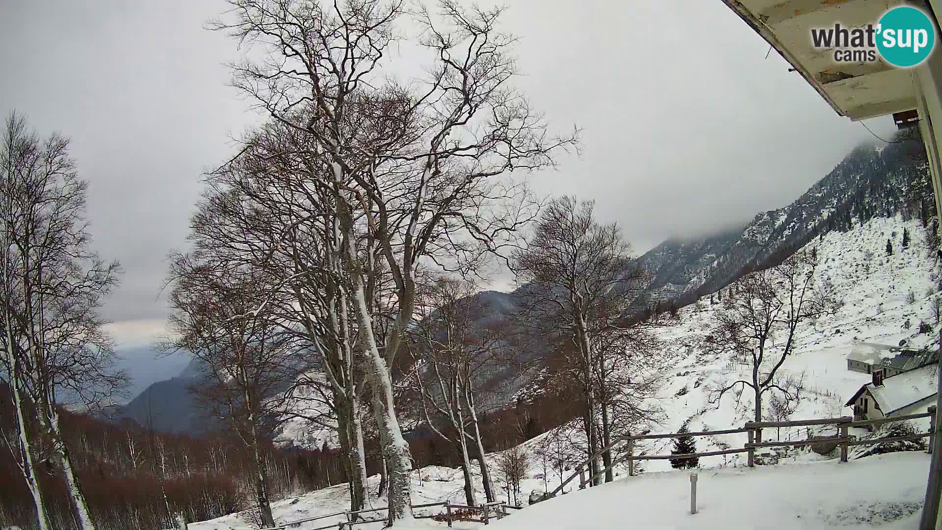 Baita di montagna Planina Razor webcam (1315) | vista su Tolminski Migovec