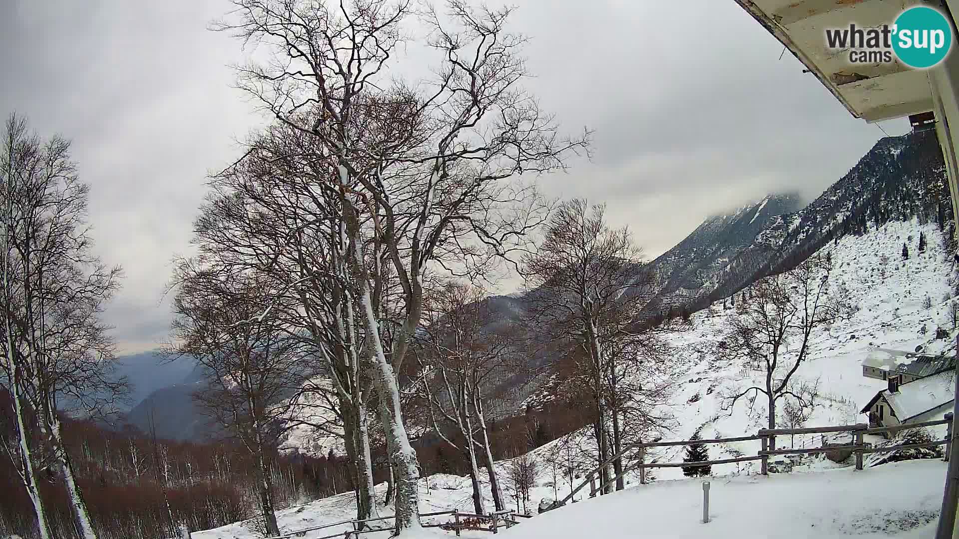 Baita di montagna Planina Razor webcam (1315) | vista su Tolminski Migovec