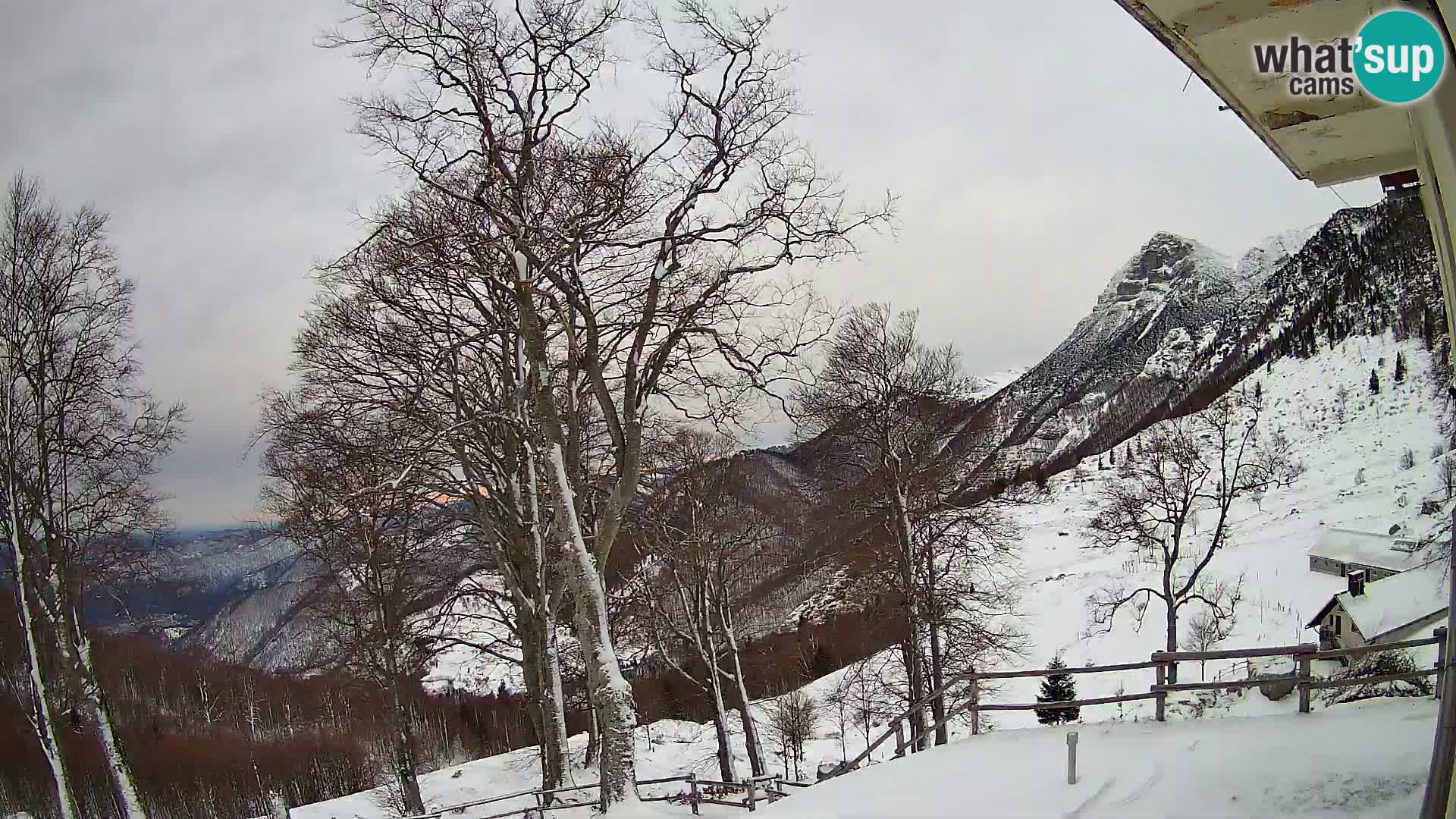 Planina Razor Bergütte Webcam (1315) | Blick auf Tolminski Migovec