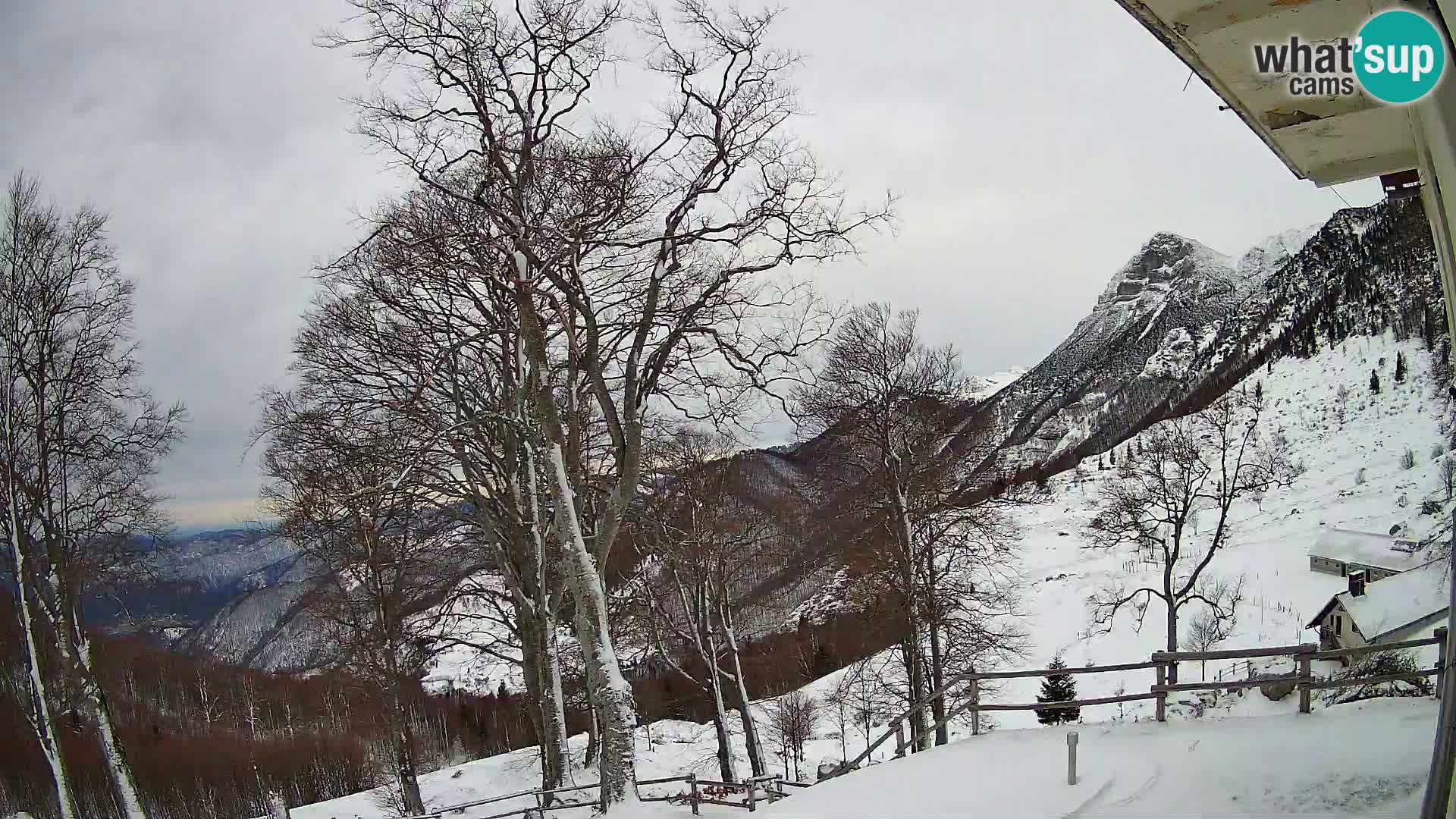 Baita di montagna Planina Razor webcam (1315) | vista su Tolminski Migovec