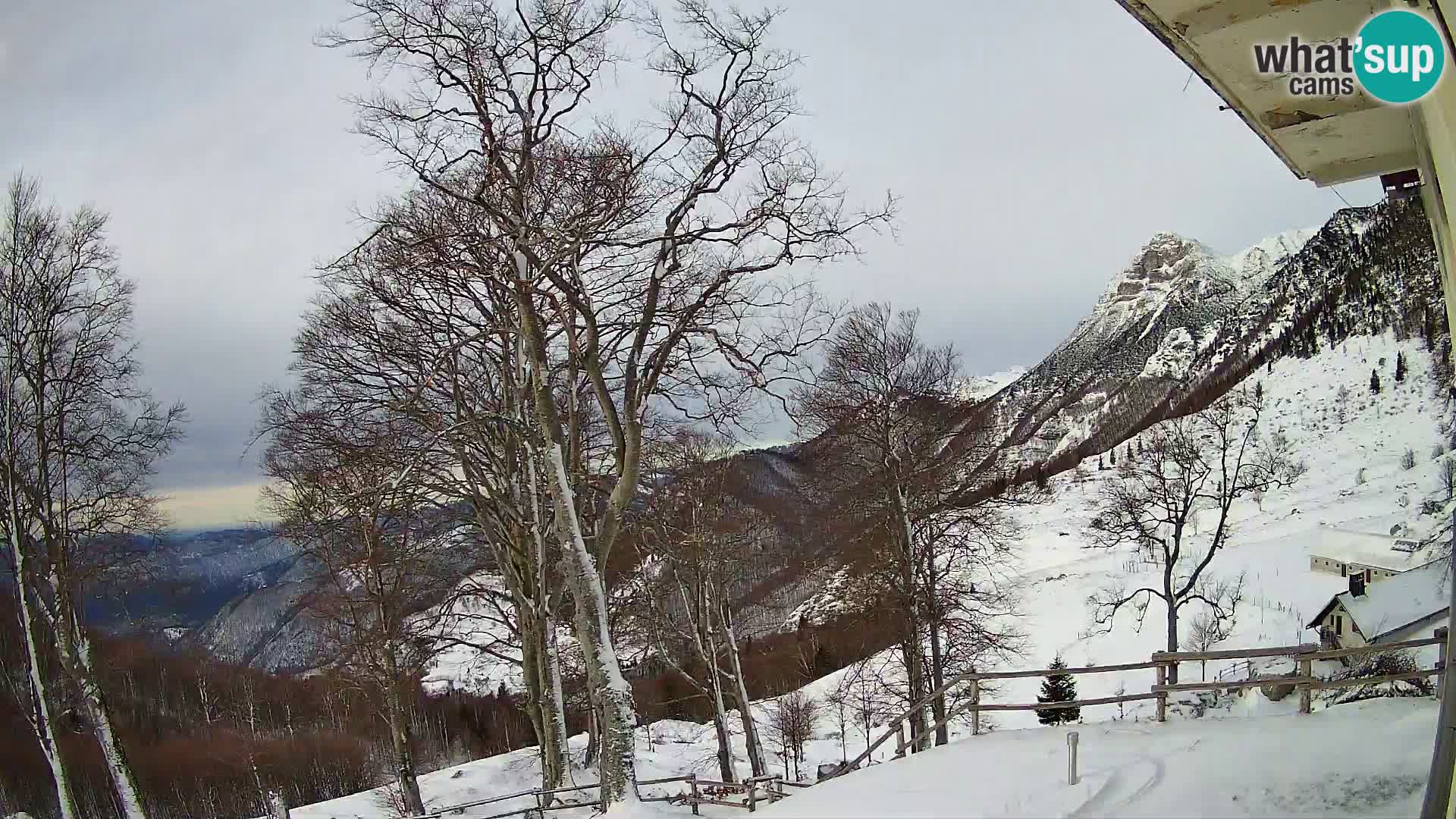 Baita di montagna Planina Razor webcam (1315) | vista su Tolminski Migovec