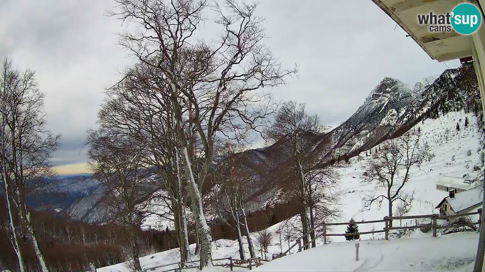 Planina Razor Bergütte Webcam (1315) | Blick auf Tolminski Migovec