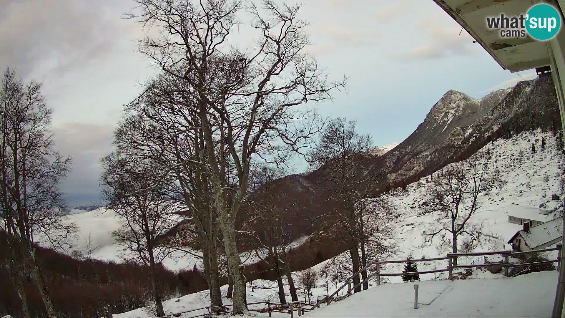 Planina Razor Bergütte Webcam (1315) | Blick auf Tolminski Migovec