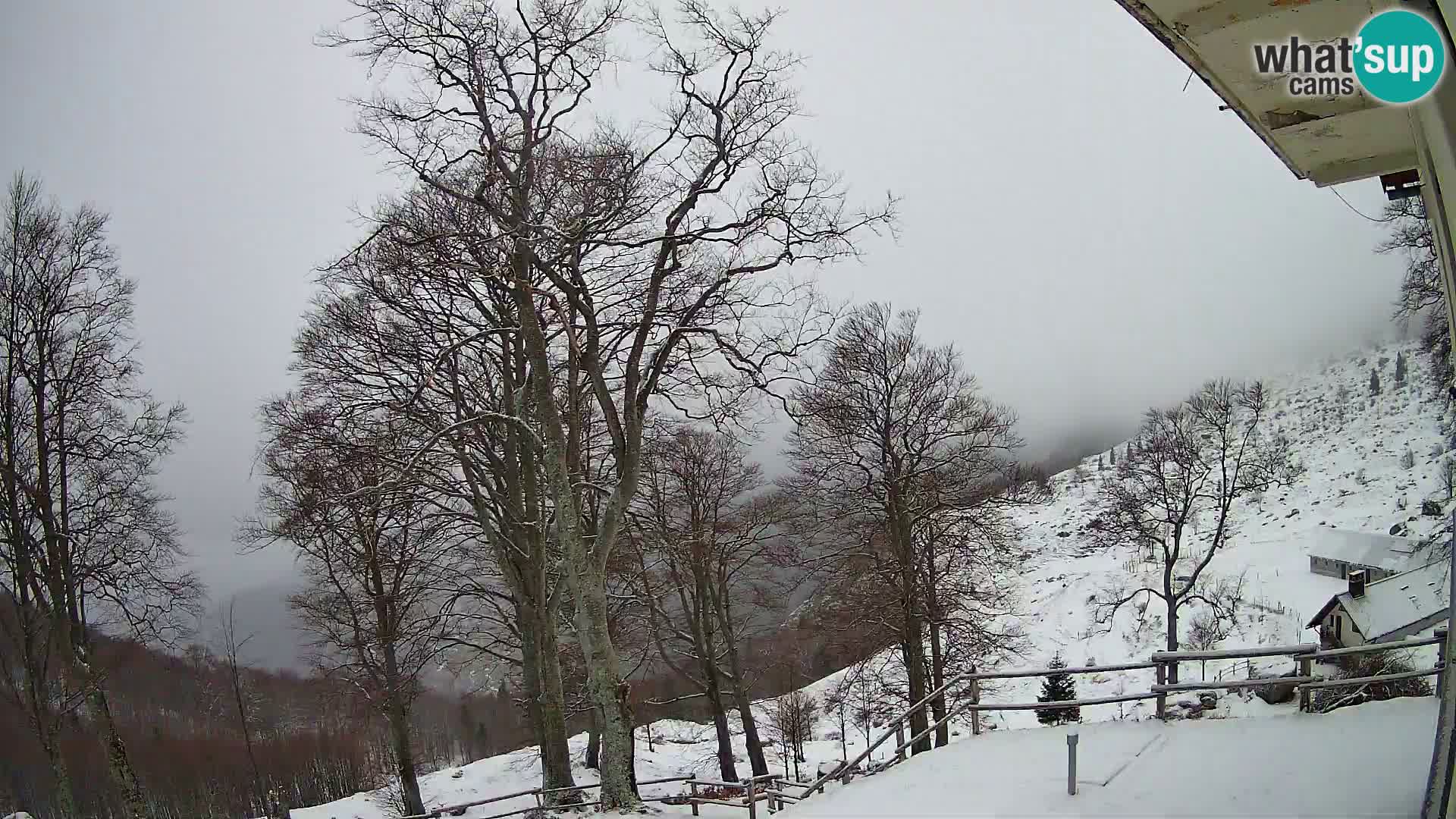 Cámara en vivo de la cabaña de montaña Planina Razor (1315) | vista hacia Tolminski Migovec