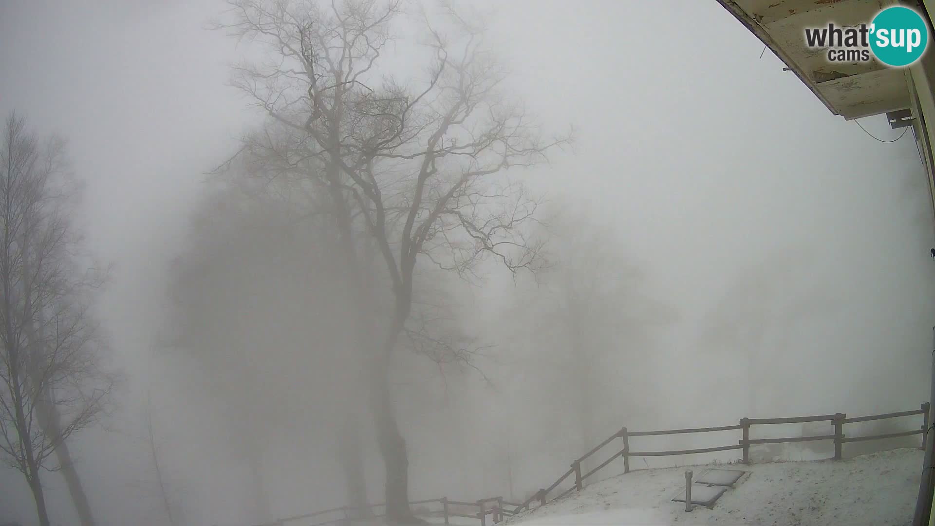 Refuge de la montagne Planina Razor caméra en direct (1315) | vue sur Tolminski Migovec