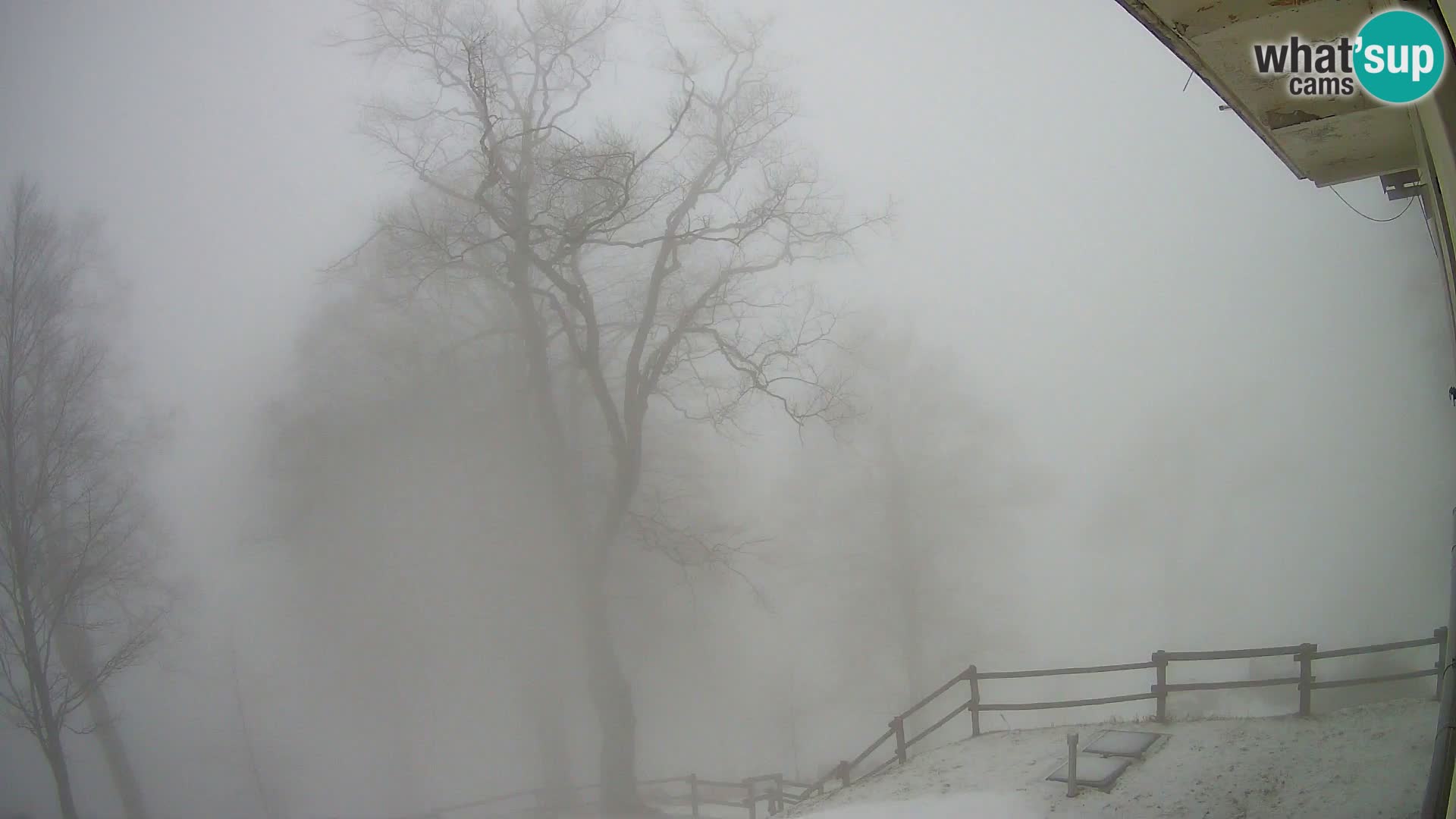 Planina Razor Mountain Hut live cam (1315) | view to Tolminski Migovec