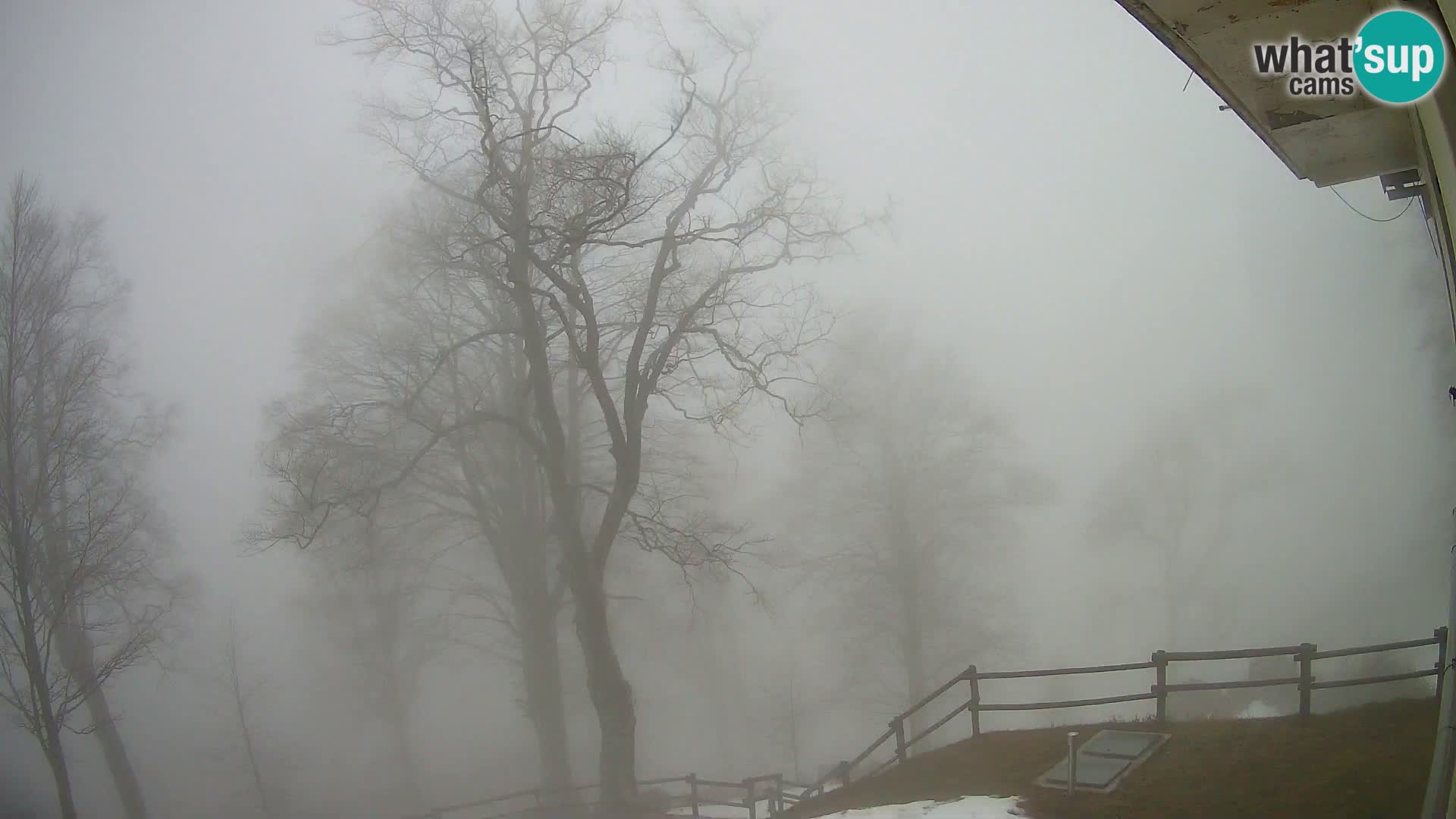 Baita di montagna Planina Razor webcam (1315) | vista su Tolminski Migovec