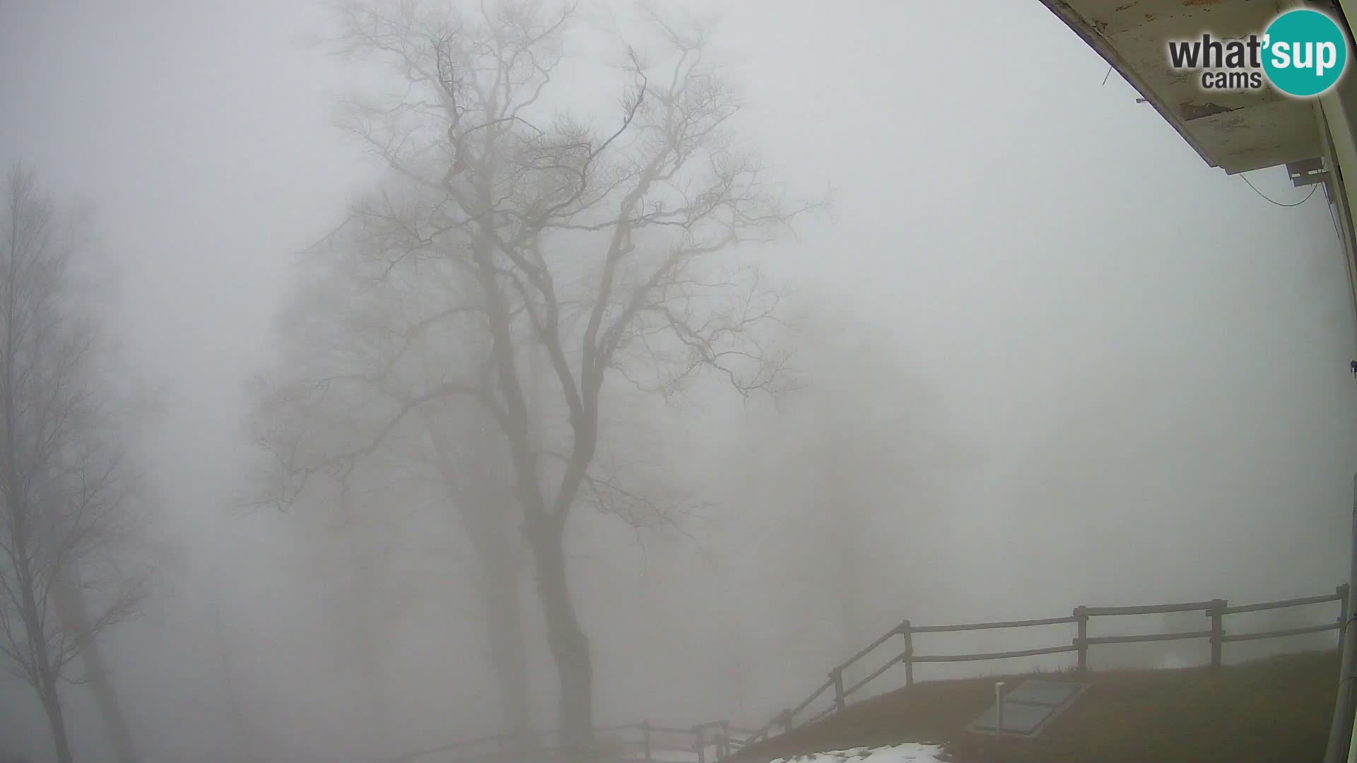 Cámara en vivo de la cabaña de montaña Planina Razor (1315) | vista hacia Tolminski Migovec