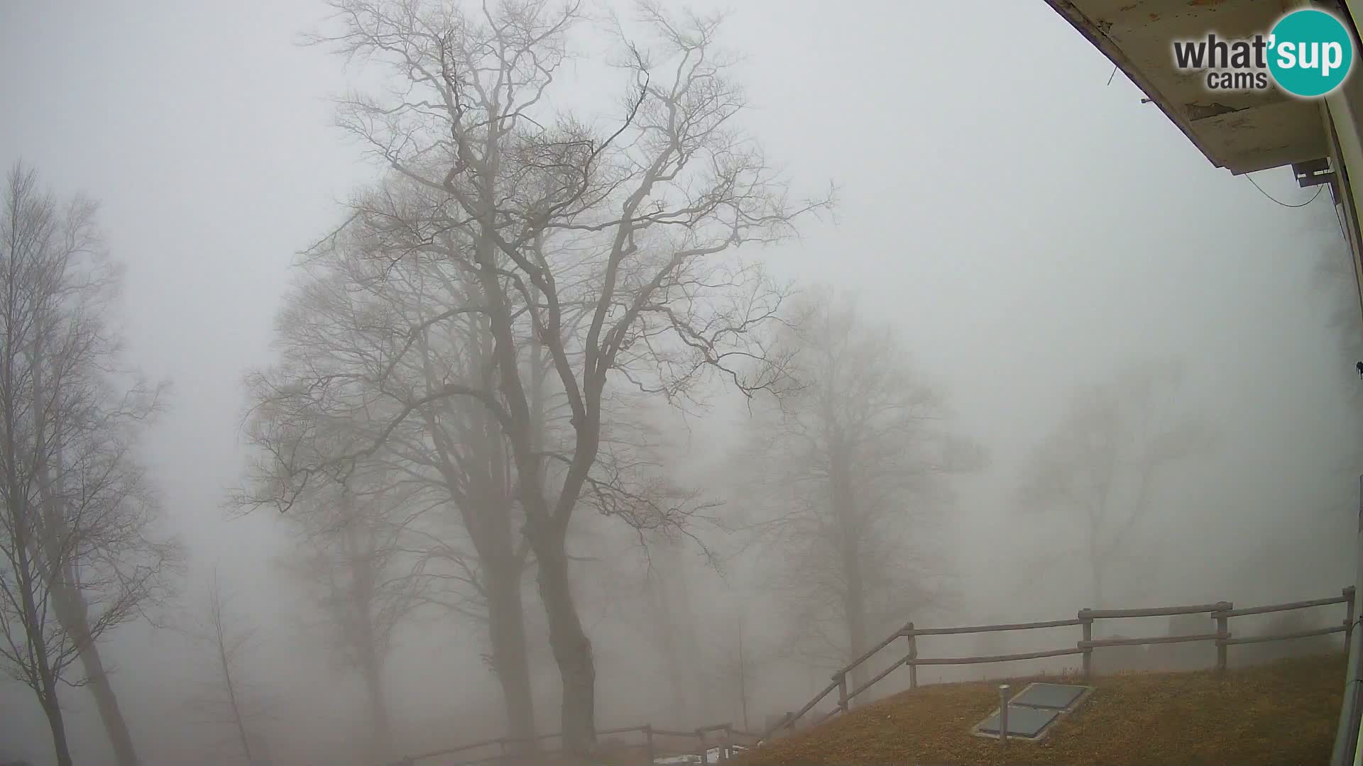 Refuge de la montagne Planina Razor caméra en direct (1315) | vue sur Tolminski Migovec