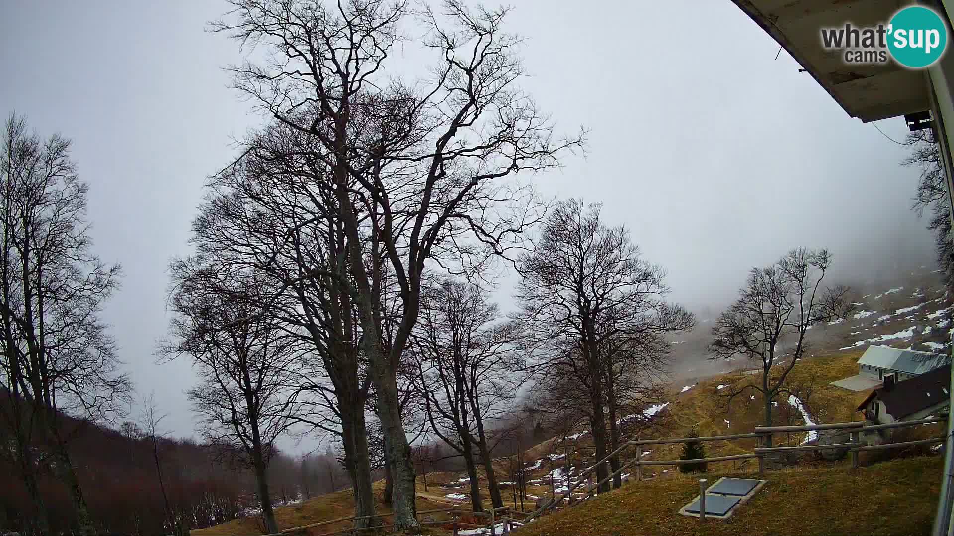 Baita di montagna Planina Razor webcam (1315) | vista su Tolminski Migovec