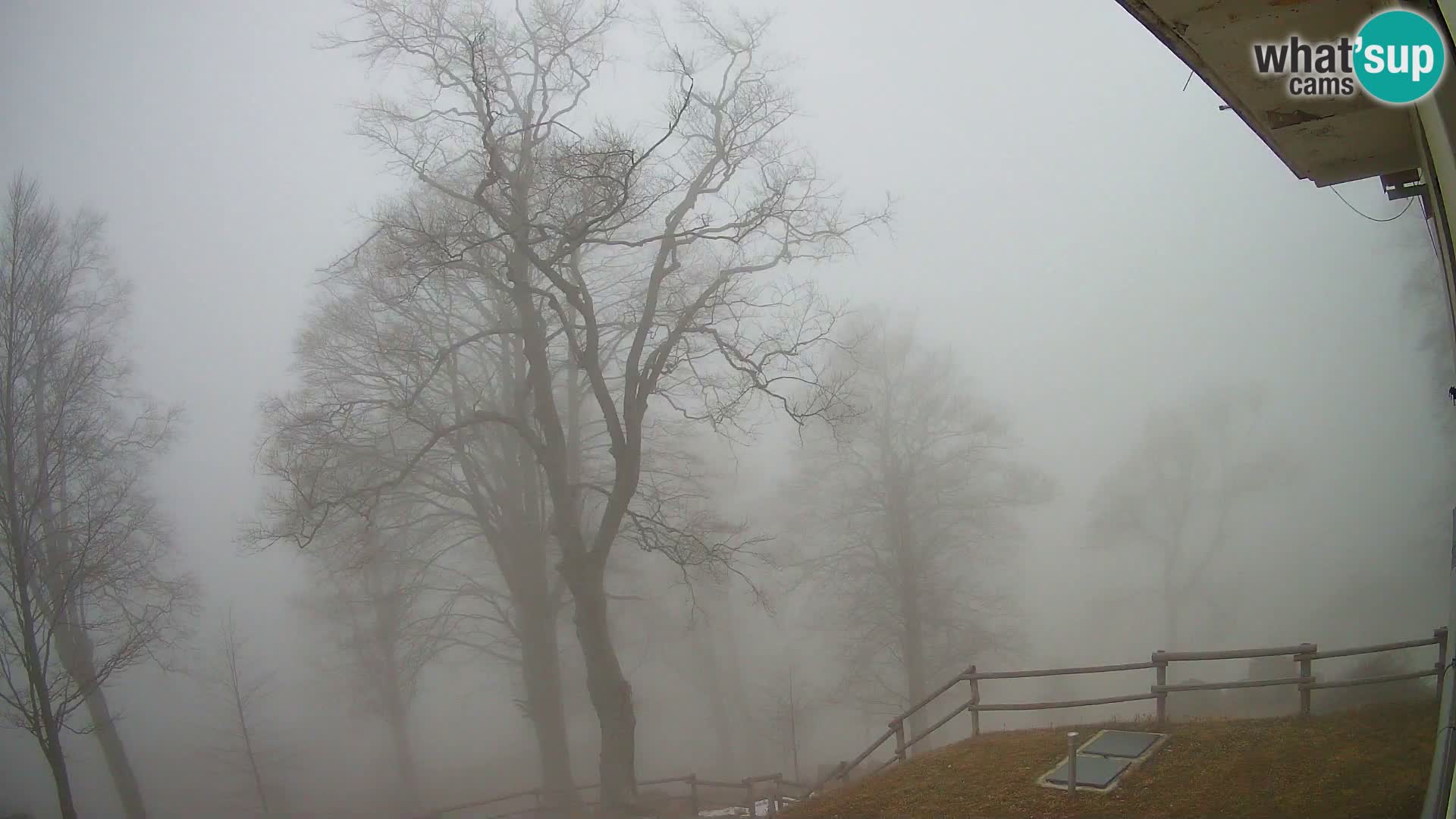 Cámara en vivo de la cabaña de montaña Planina Razor (1315) | vista hacia Tolminski Migovec