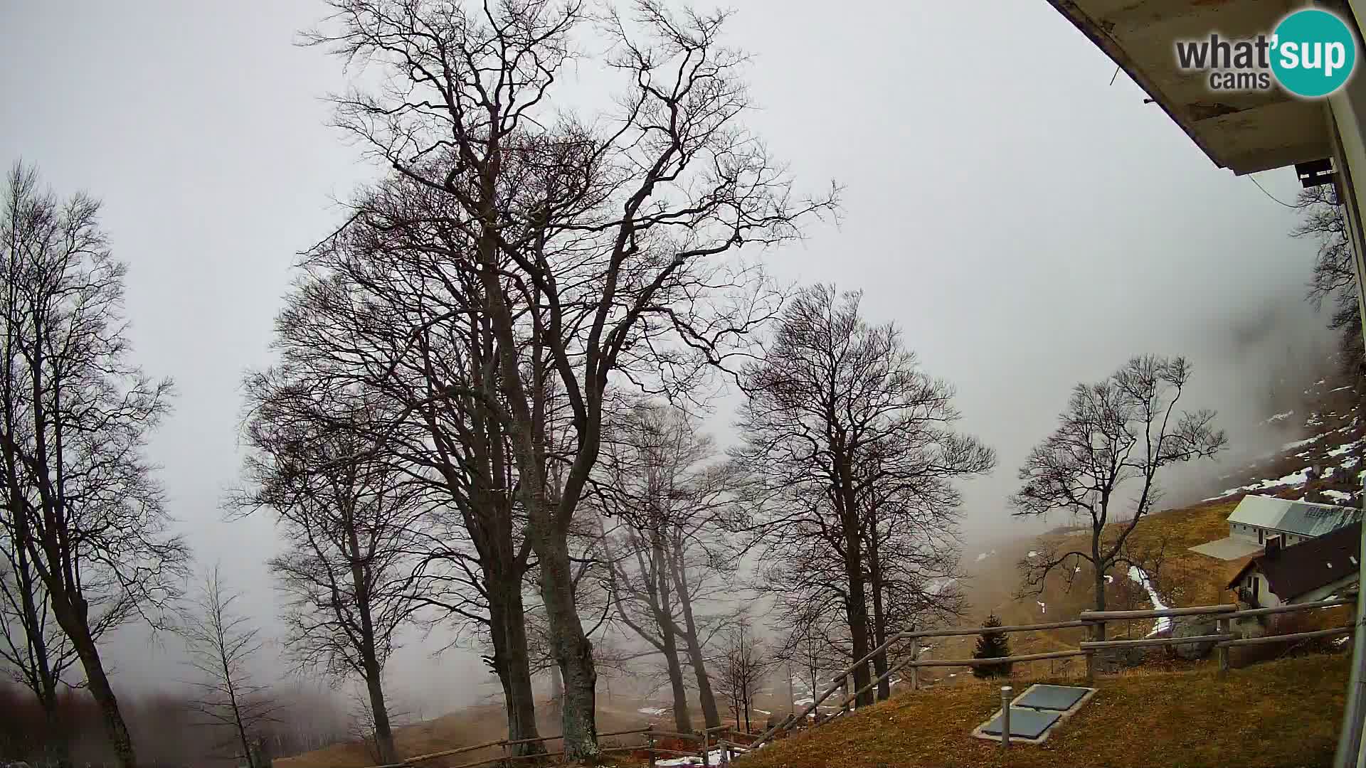 Cámara en vivo de la cabaña de montaña Planina Razor (1315) | vista hacia Tolminski Migovec